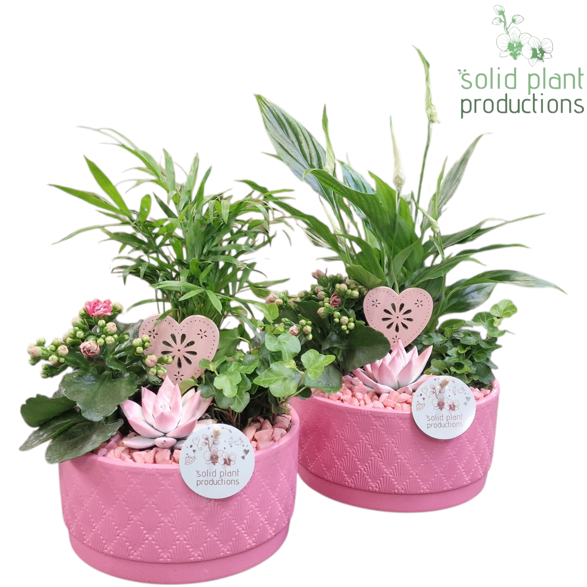 SCE003 Loes Pink Mix VM, D 18