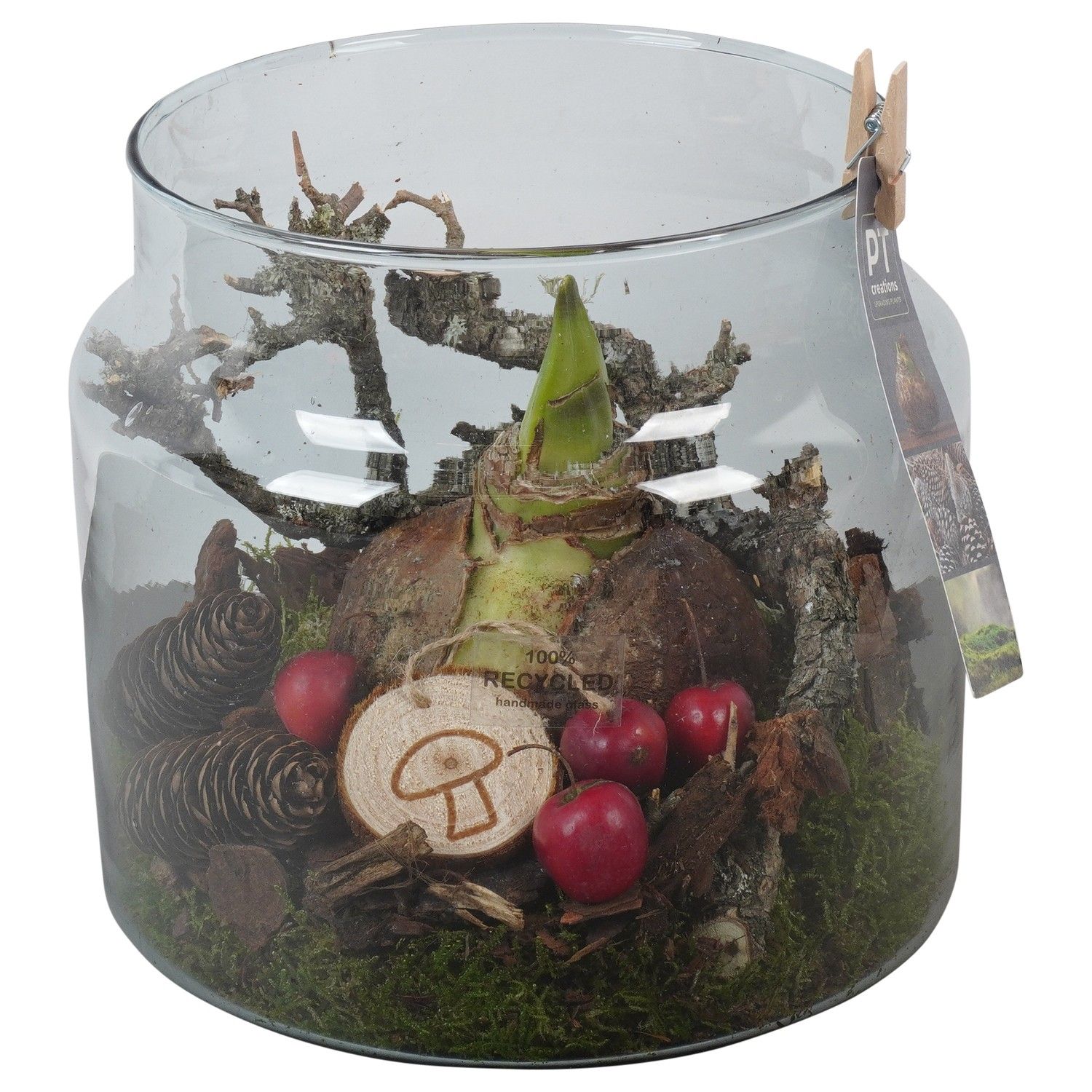 PTAA7592 Arrangement Amaryllis in glazen vaas, D 19 cm