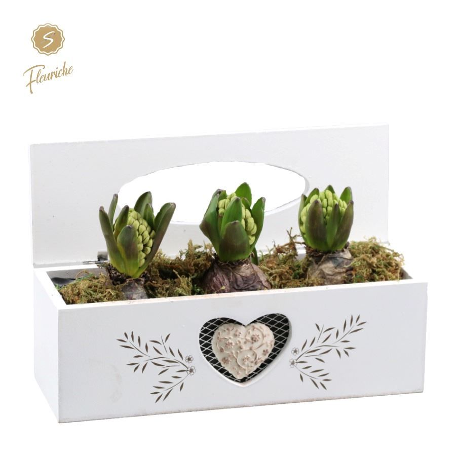 (3802) Hyacint Tissue Box 3PP Mos, D 28 cm