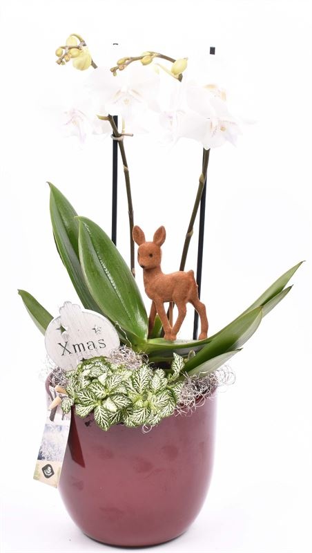 Keramiek pot wijnrood 15.5cm, D 16 cm