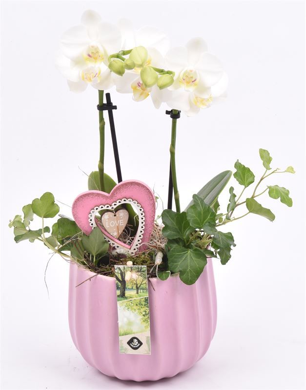 Keramiek pot kleur mix 14cm, D 14