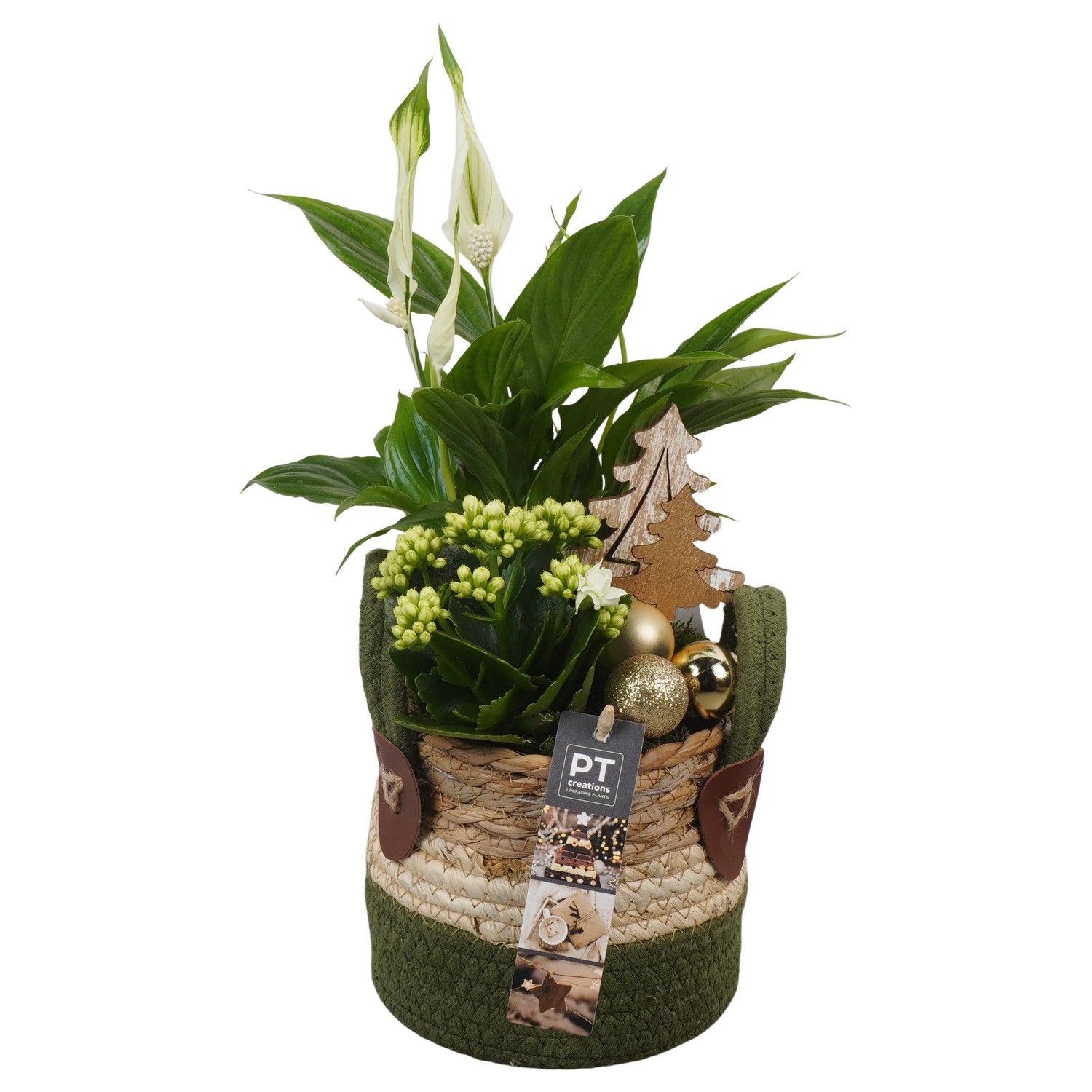 PTCHG5687 Arrangement Christmas Gold in rieten mand, D 13 cm