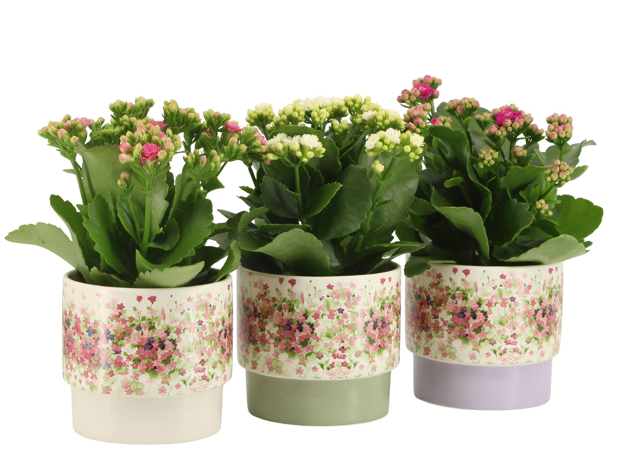 7501391: Solutionss Consideration, D 10,5