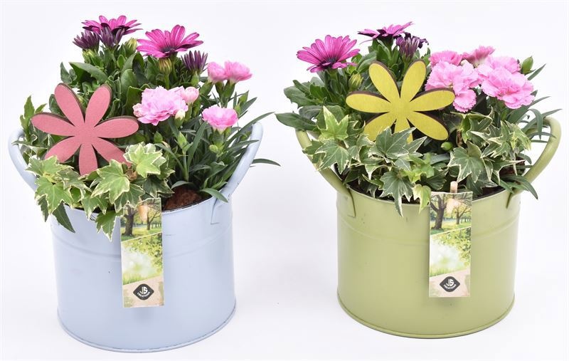 Zink ton kl.mix 15cm, D 15