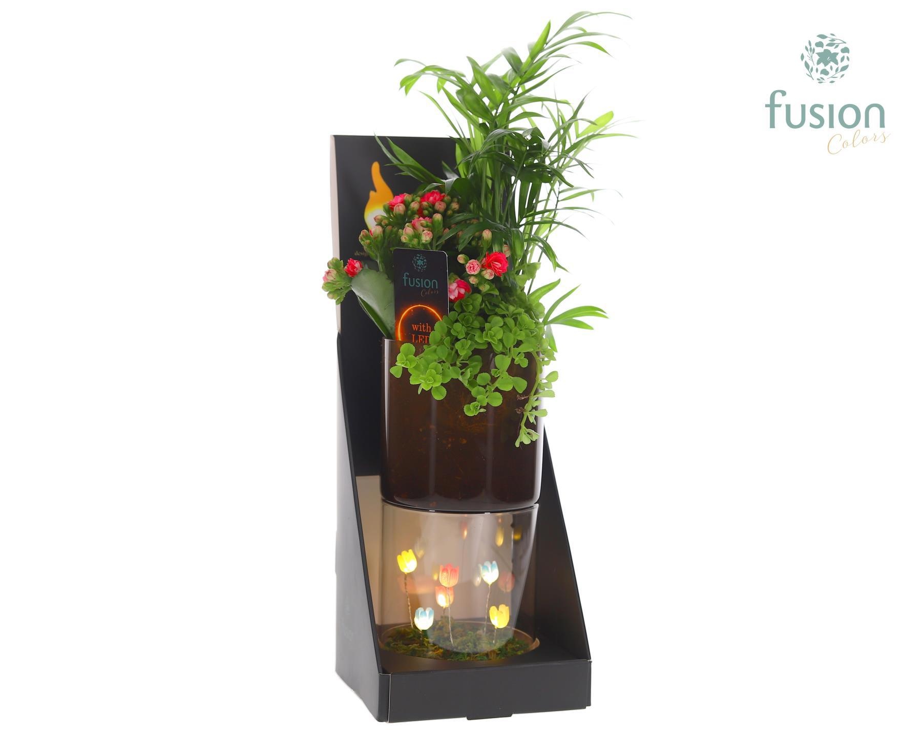 Glas tube Led planter groot met Arrangement, D 11