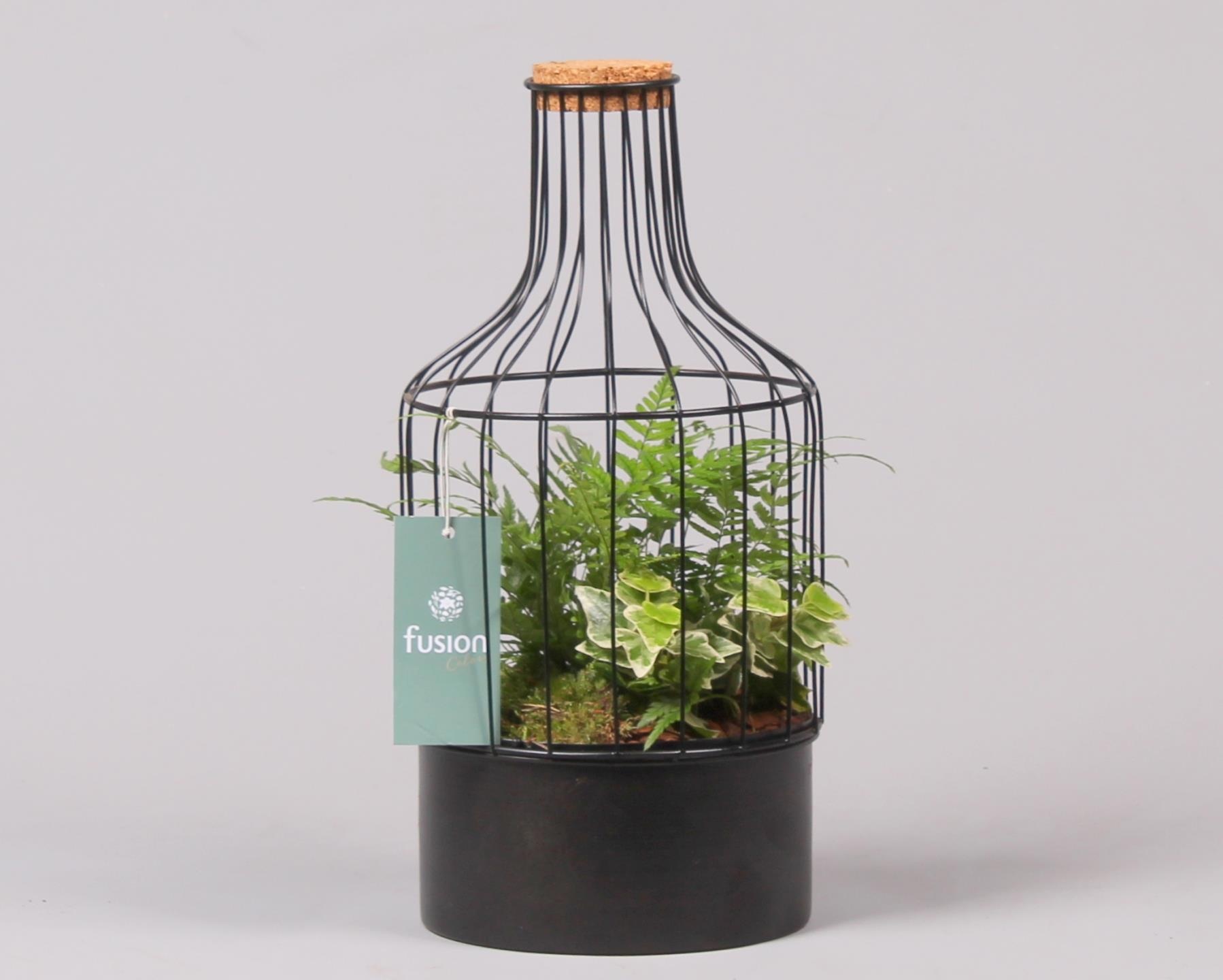 Metaal fles zwart Small met Arrangement, D 13