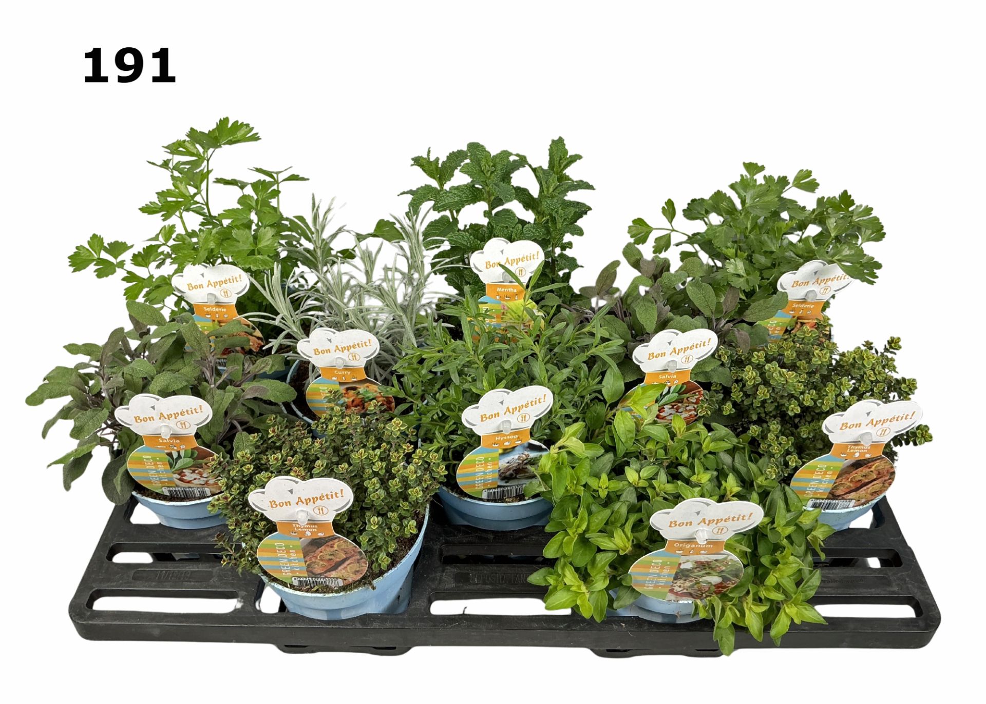 Kruiden 12 cm gemengd in floratino fust, D 12