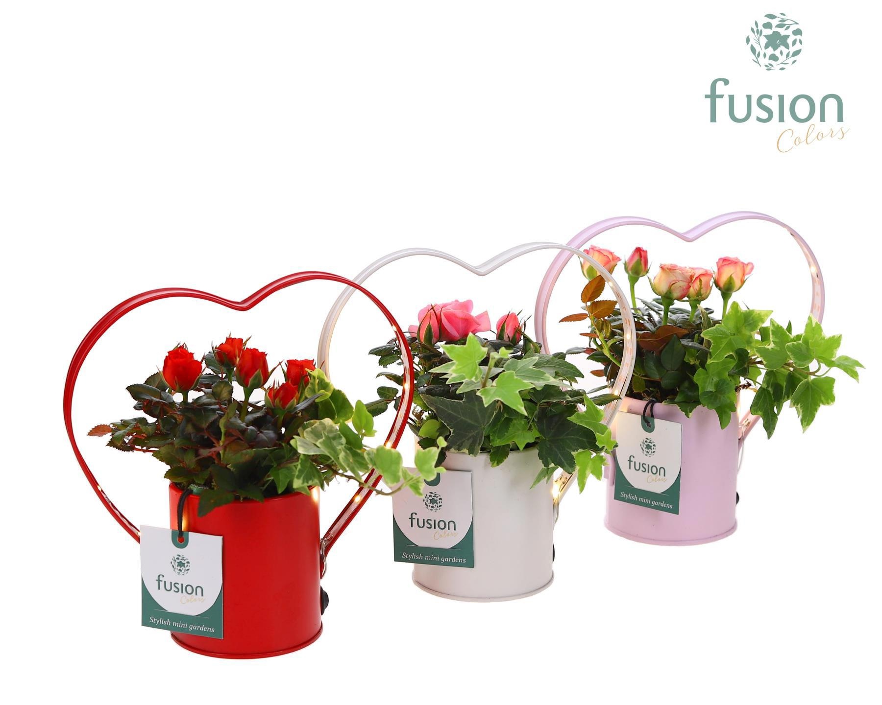 Planter LED zink hartvormSmall met arrangement, D 18