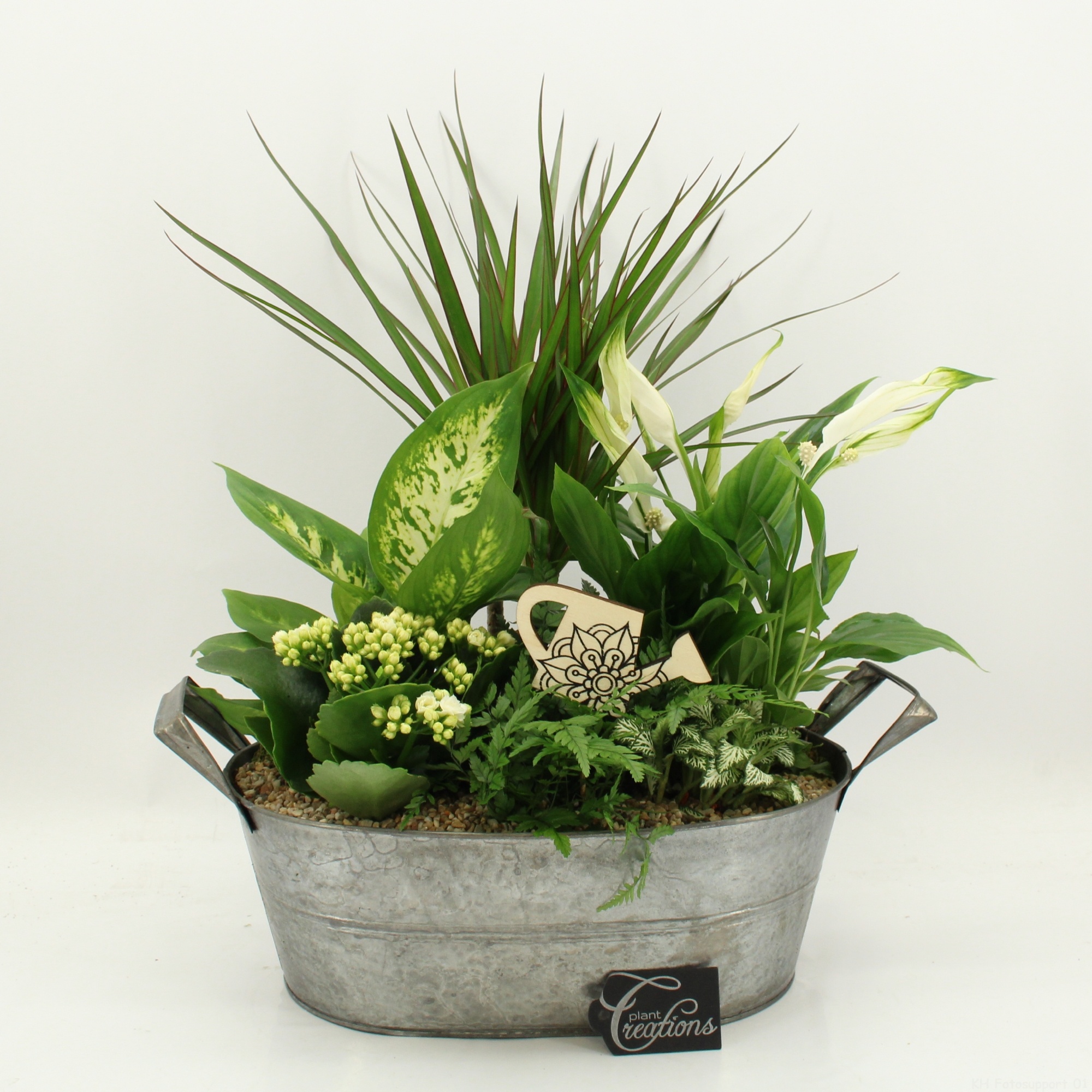 FDCR-2616W Basic Fundamentals, D 32