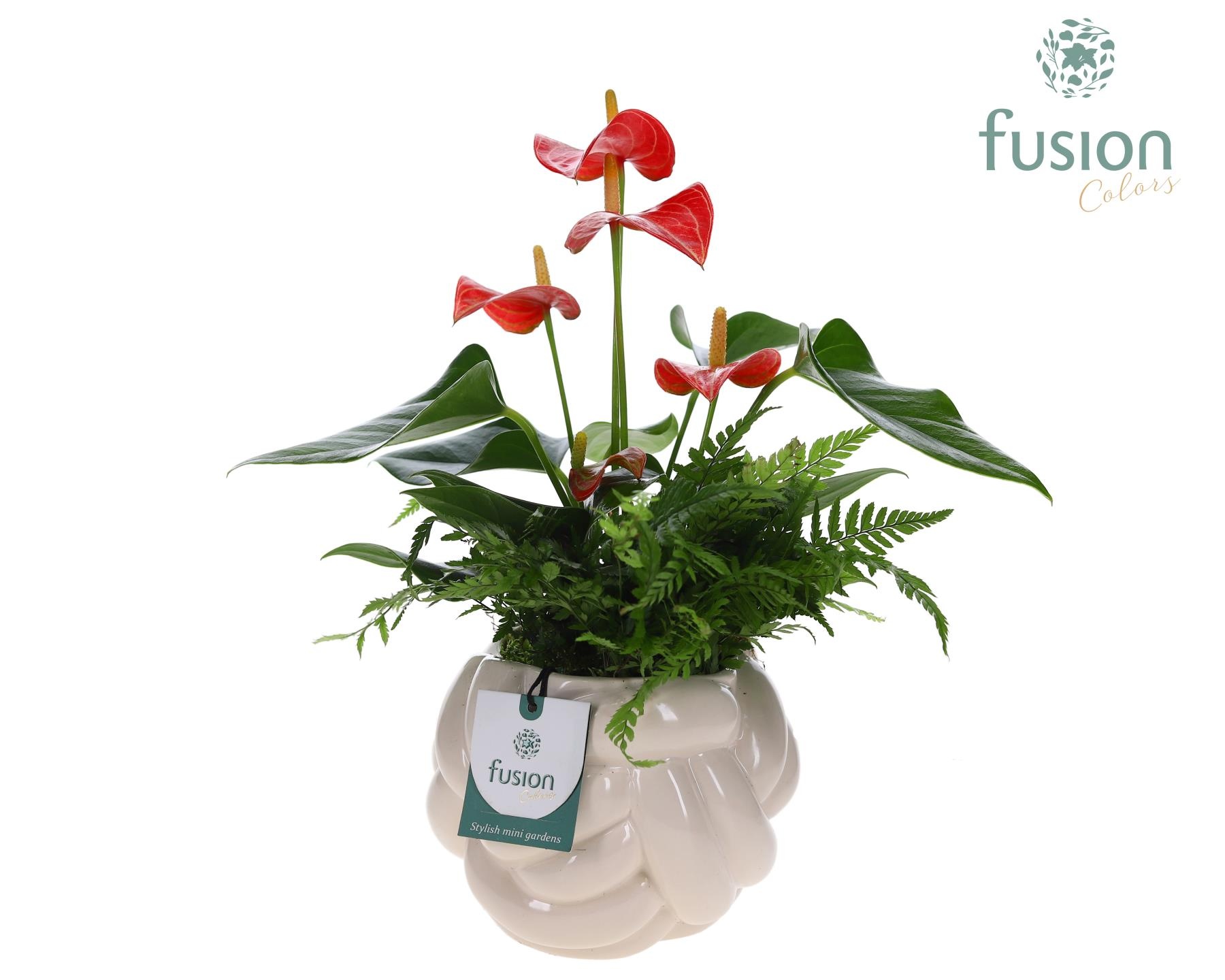 Keramiek knot pot met Arrangement, D 14