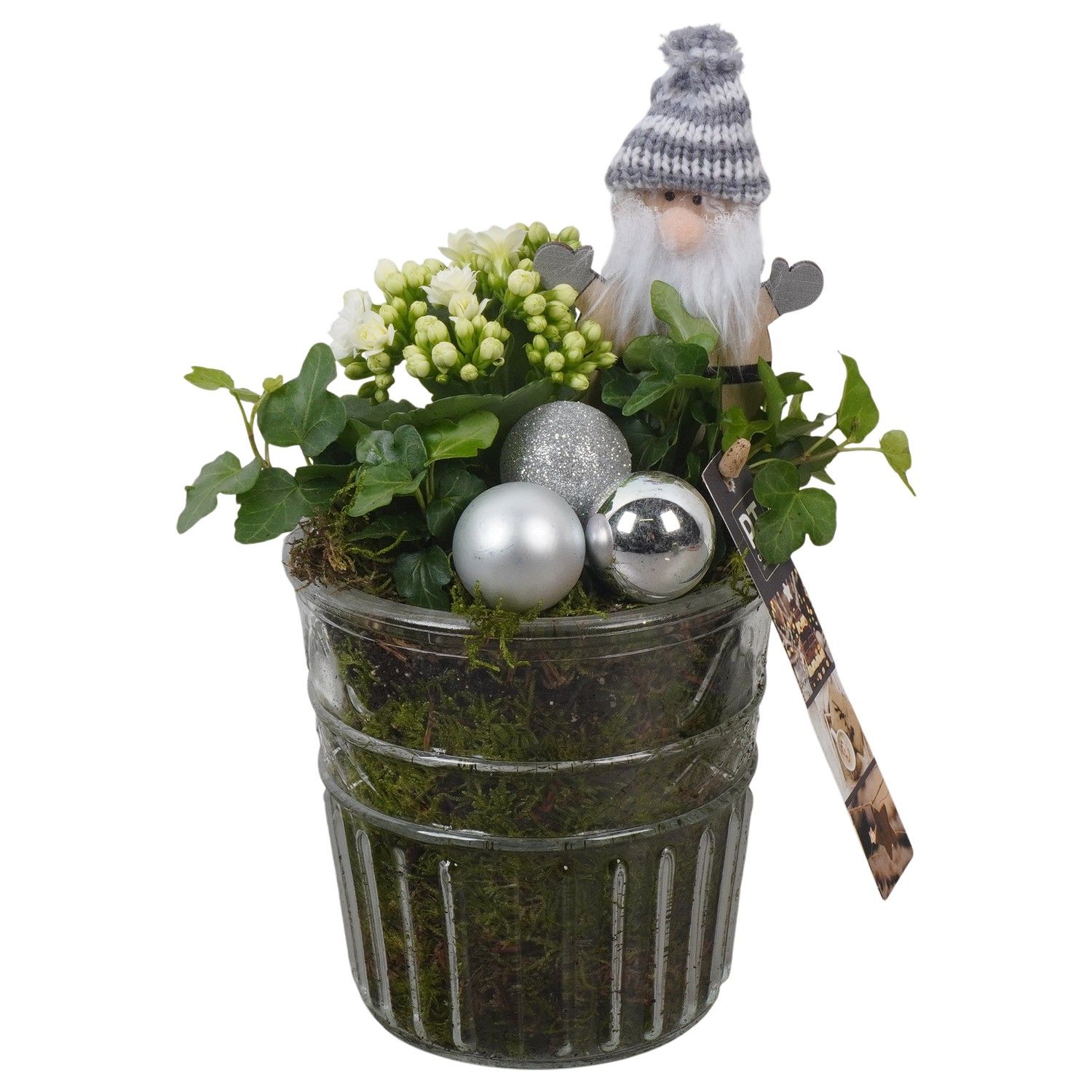 PTCHW4342 Arrangement Christmas White in glazen pot, D 12 cm