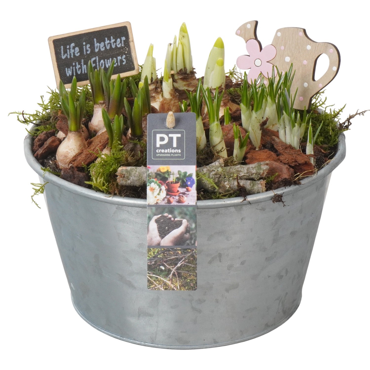 PTBM3799 Arrangement Flower Bulbs Mix in metalen pot, D 22