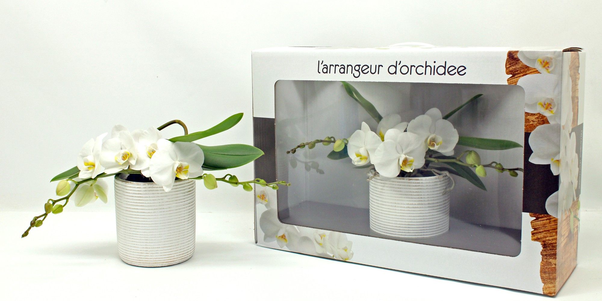 L'arrangeur D'orchidee (GROEN), D 12