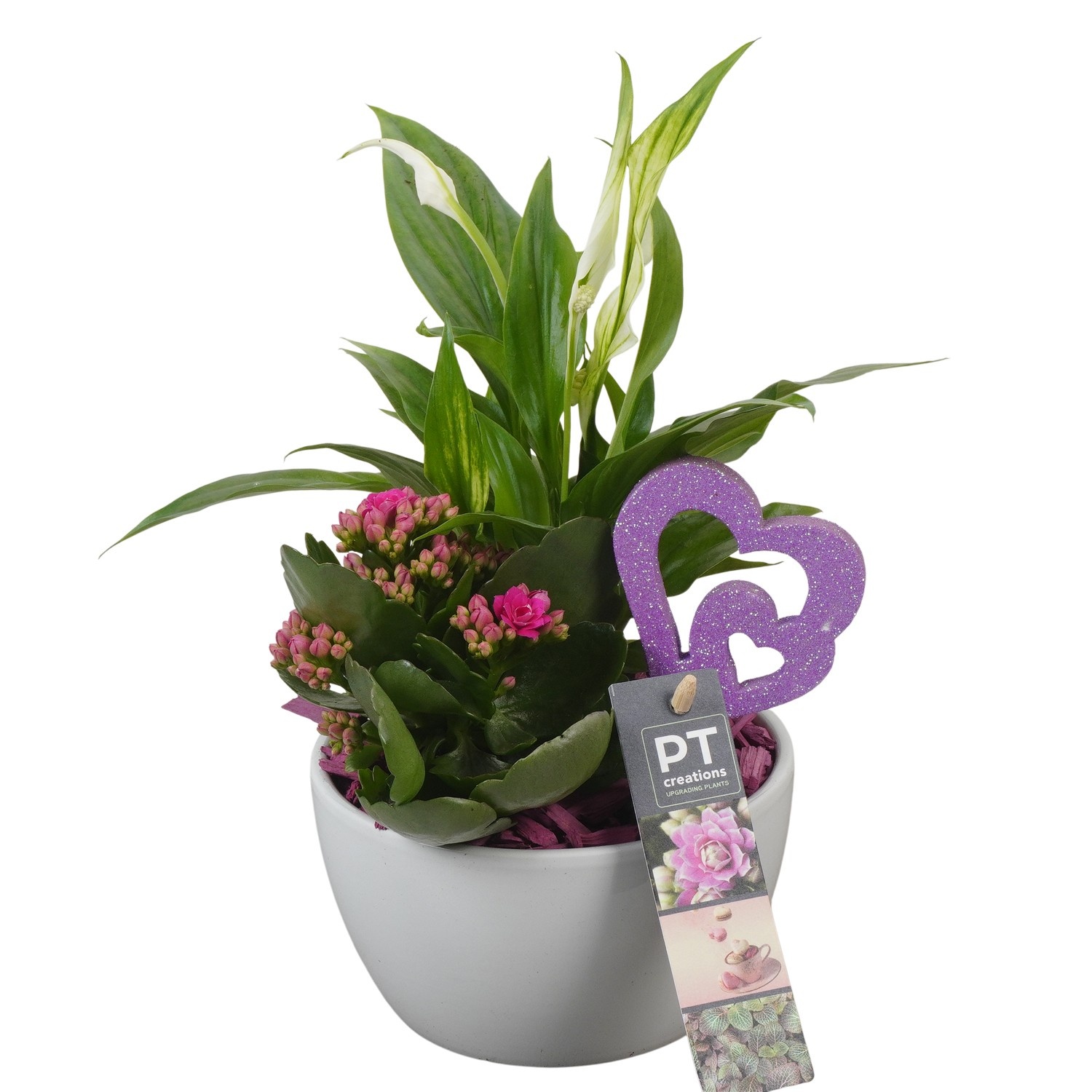 PTVMB2220 Arrangement Valentines-Mothersday in keramiek schaal, D 14