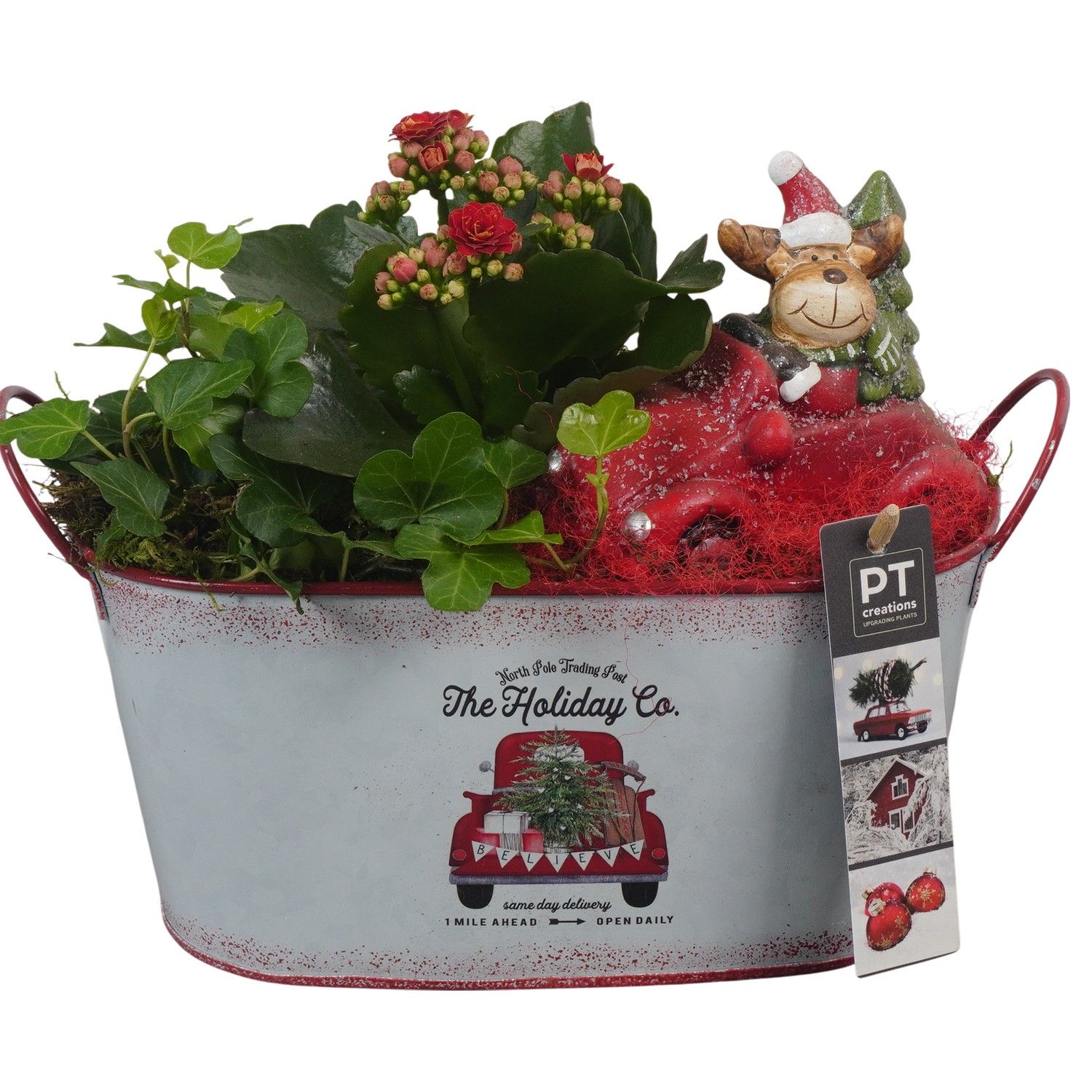 PTCHR7343 Arrangement Christmas Red in metaal pot ovaal, D 23 cm
