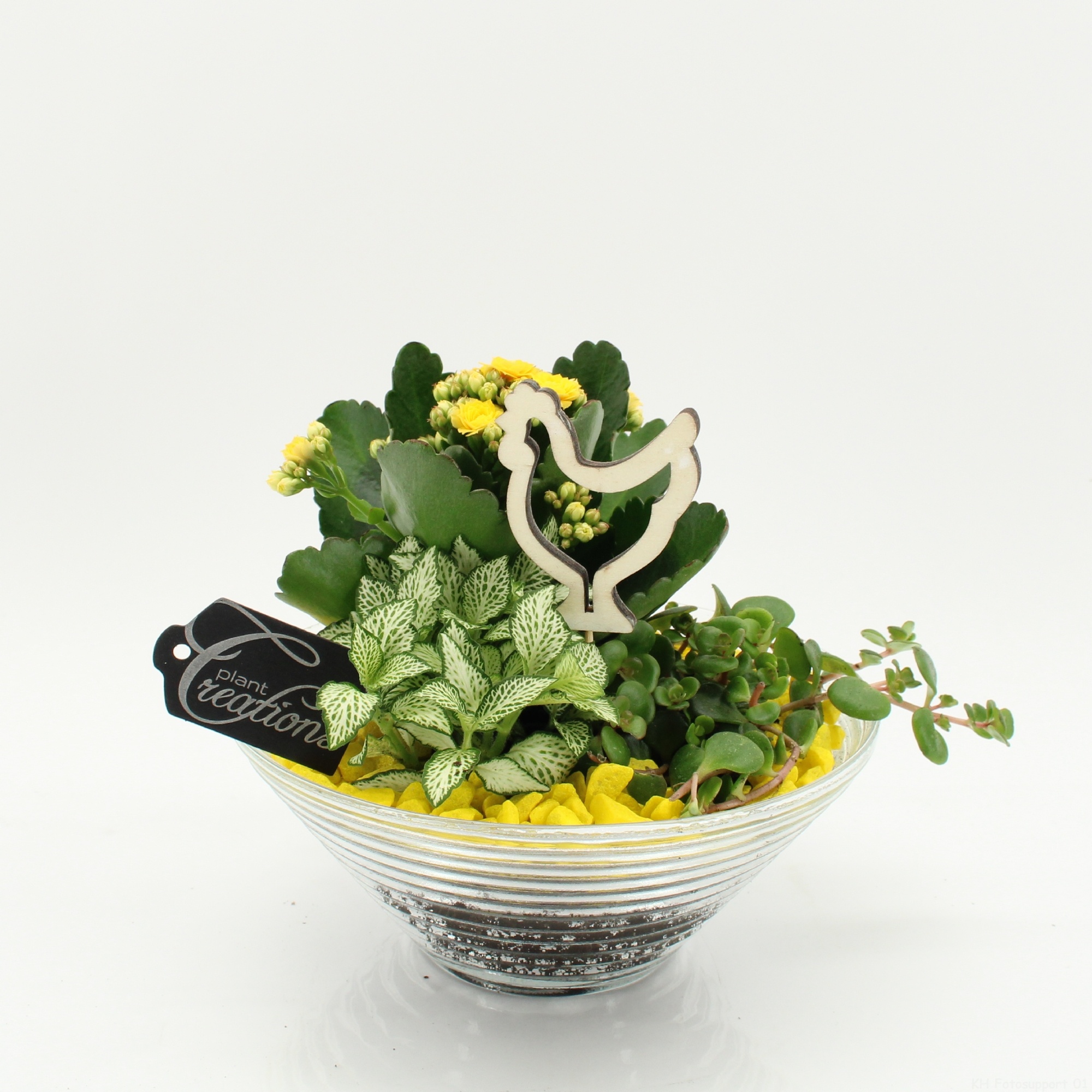 FDPS-2601 Easter Fundamentals, D 20