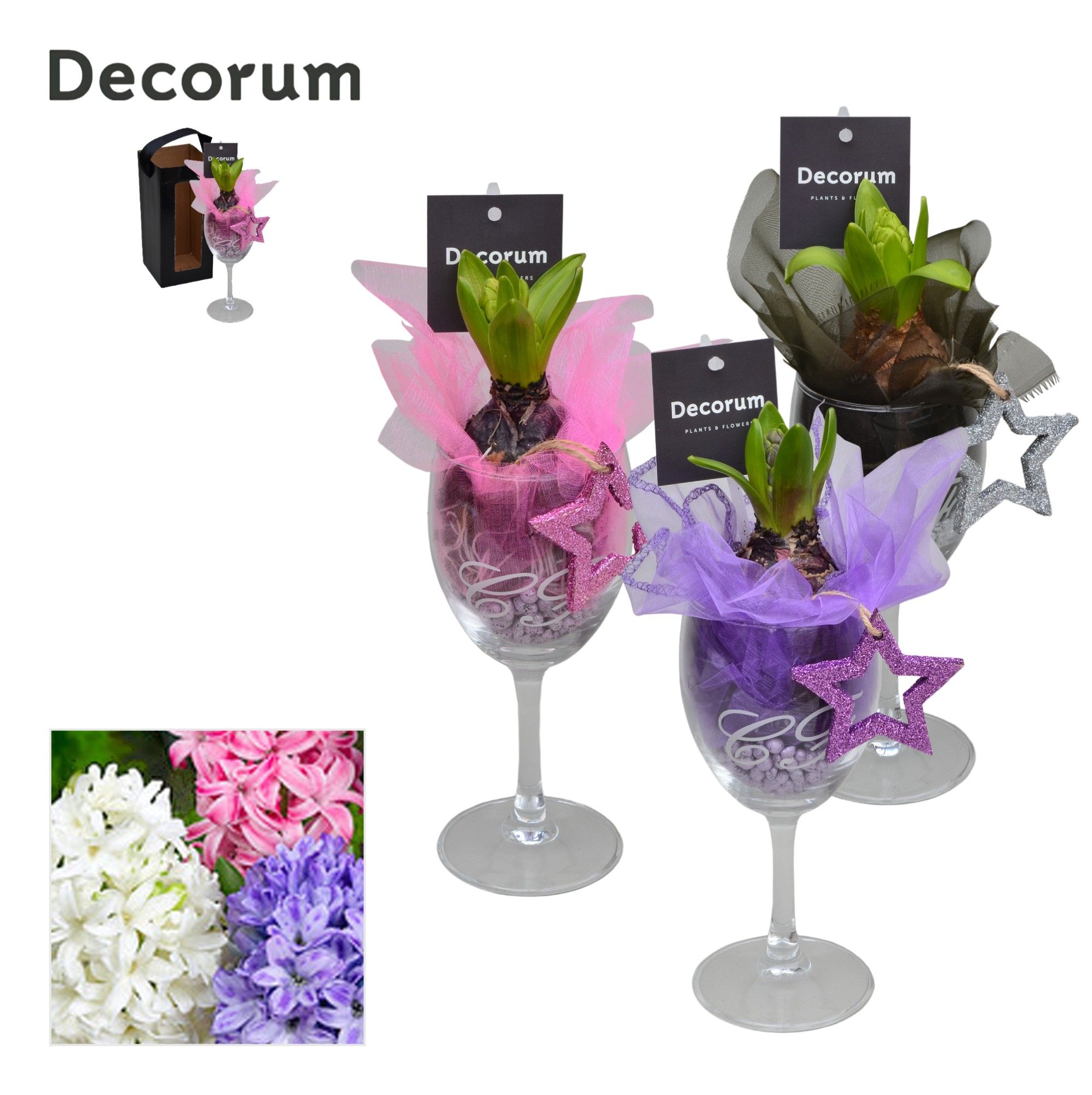 Hyacint Wijnglas HL16062 [LOVELY COLORS], D 11