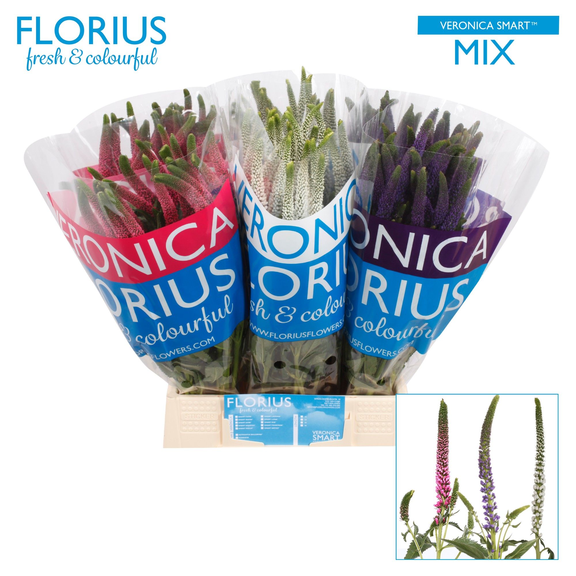Вероника Смарт Микс 50, шт.