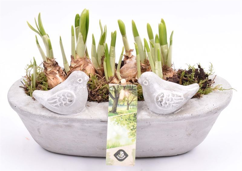 Cem. voederschaal ovaal 25x12cm, D 25