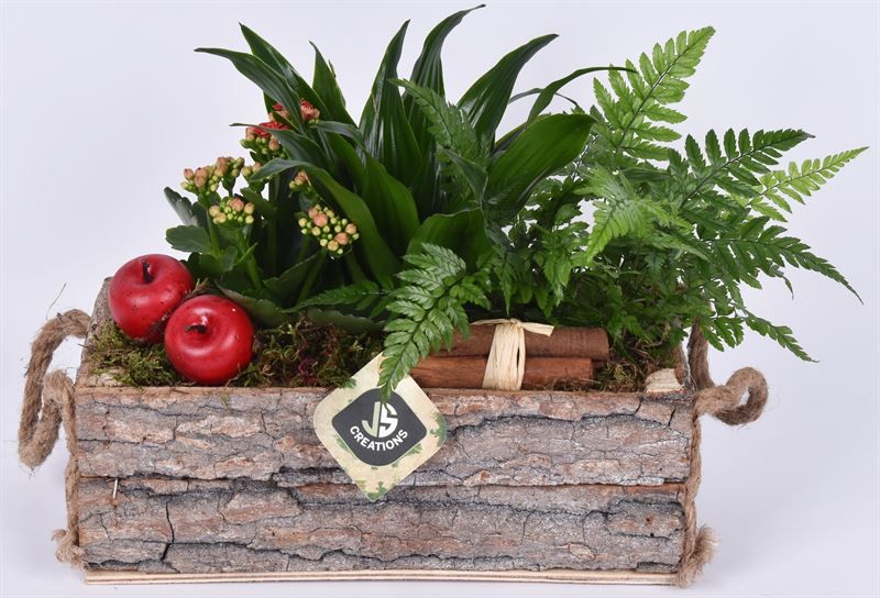 Boomschors rechth. met touw 26x12cm, D 26 cm Boomschors rechth. met touw 26x12cm, D 26 cm