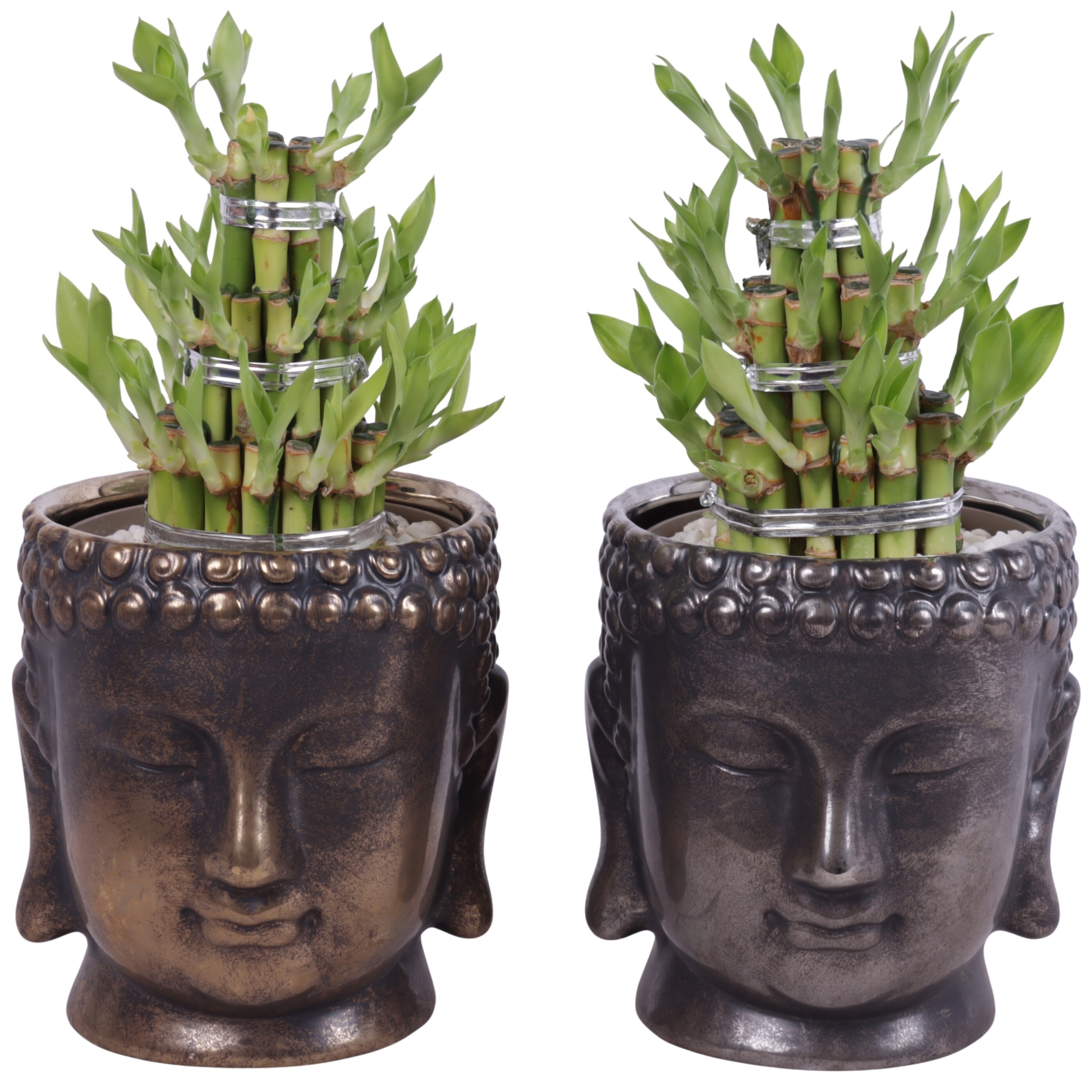 Lucky Bamboo Shape Round 3S in Ceramic Buddha Gold/Silver Ø15cm, D 15