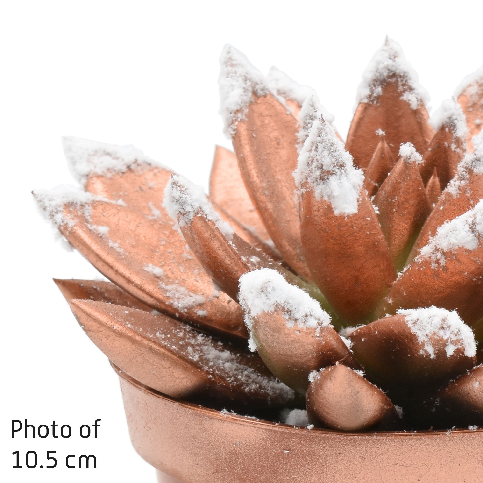 Miranda coloured bronze + snow, D 6