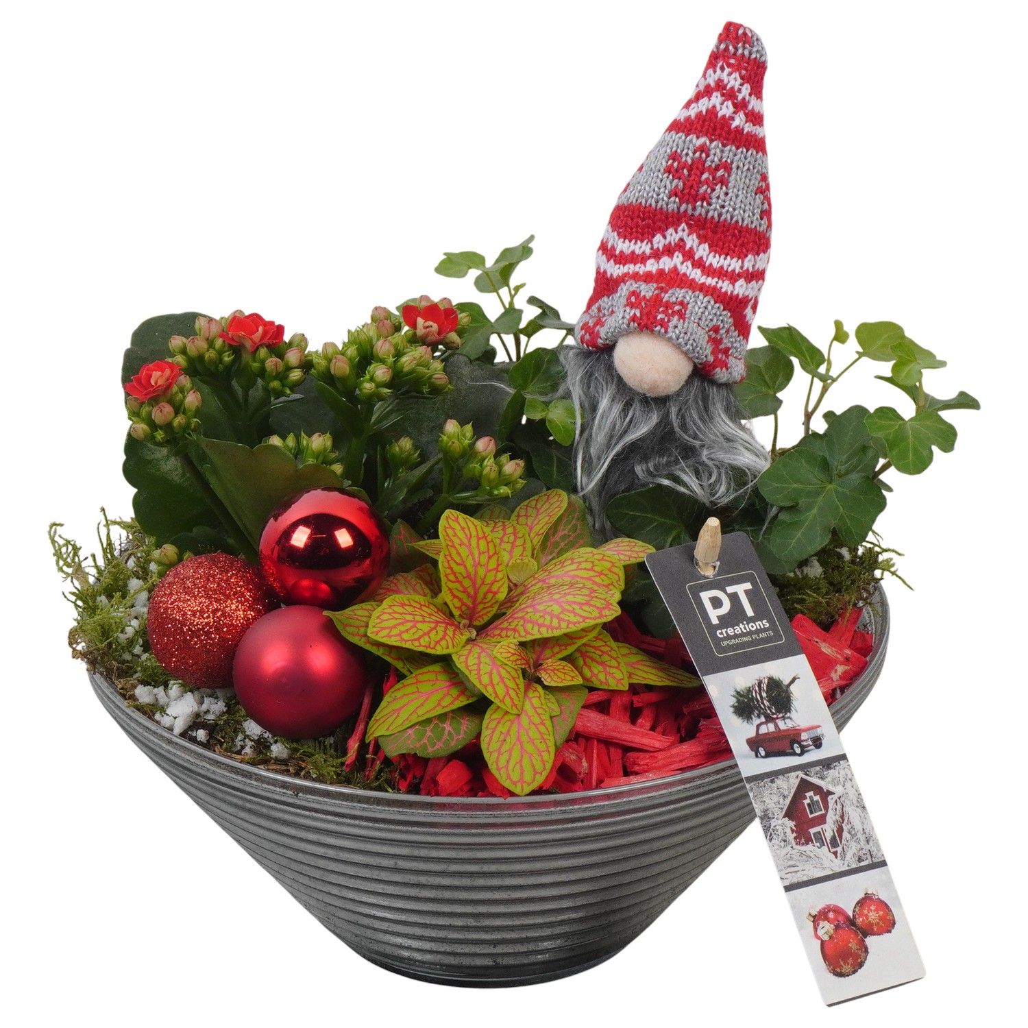 PTCHR7421 Arrangement Christmas Red in glas schaal, D 19 cm