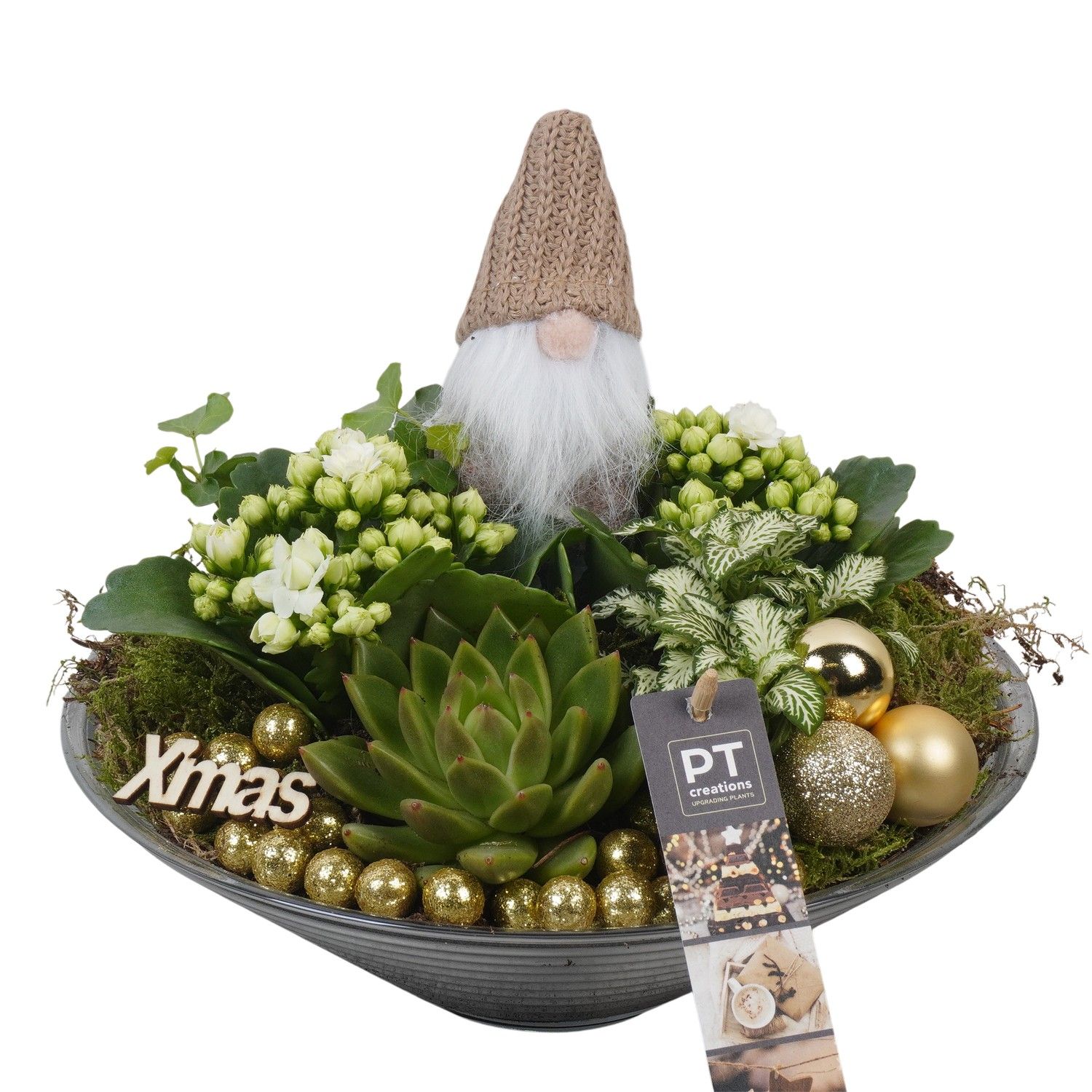 PTCHG5717 Arrangement Christmas Gold in glas schaal, D 26 cm