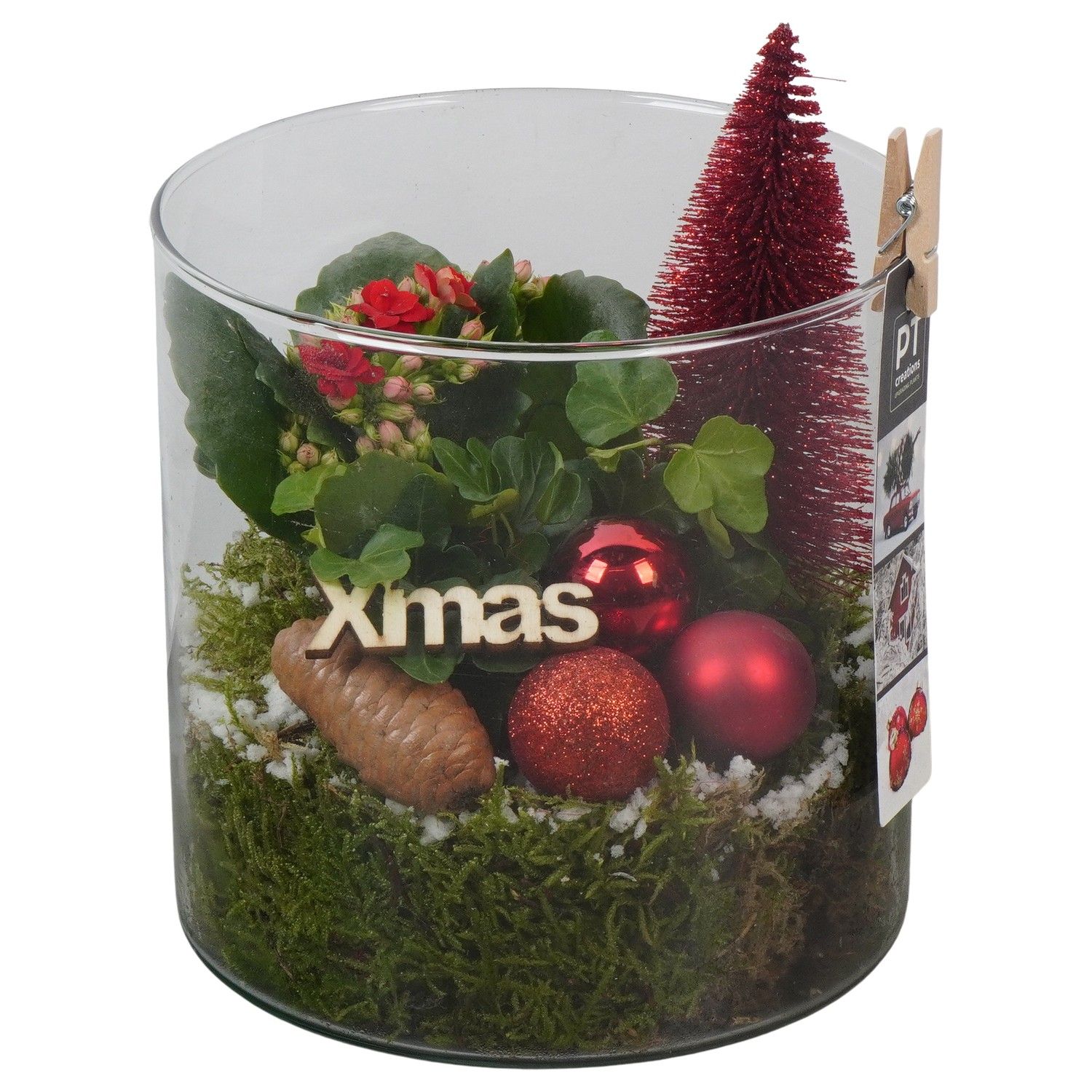 PTCHR7465 Arrangement Christmas Red in glazen pot, D 15 cm