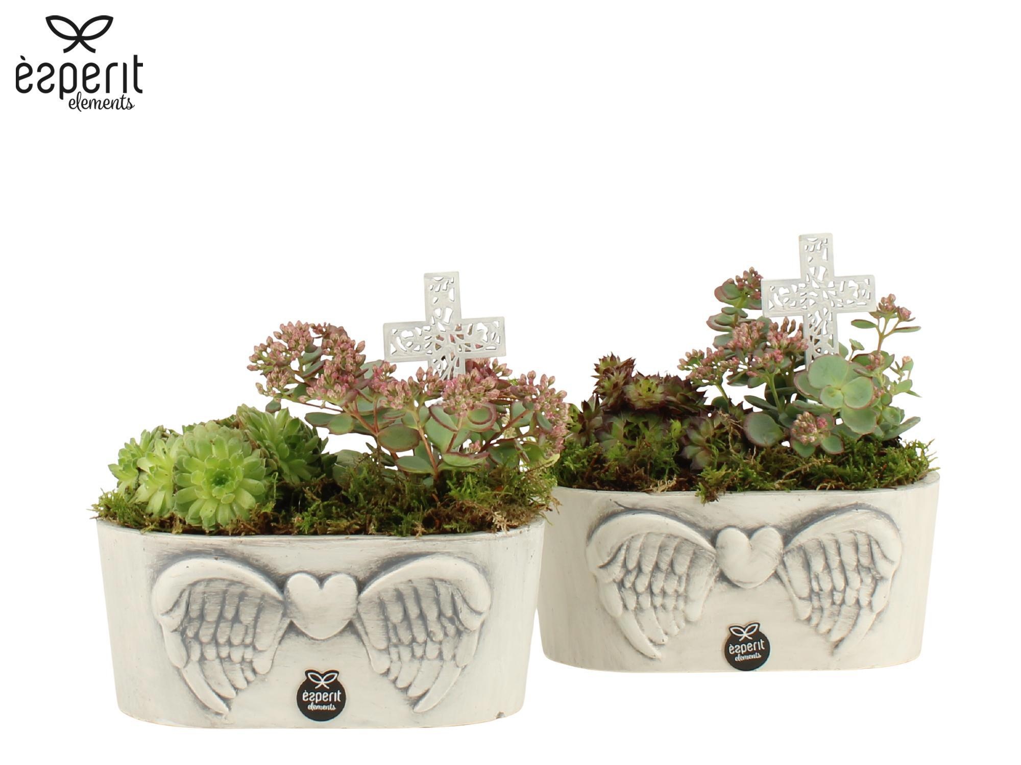 41725: All Saints arrangement, D 19