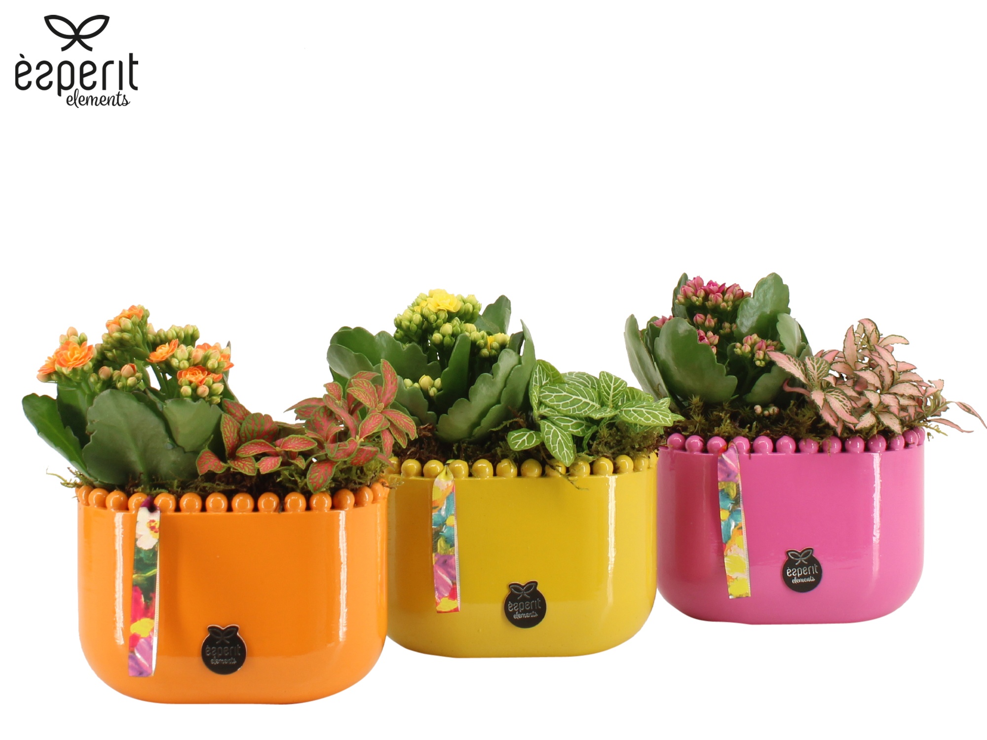 31781: Reinvention arrangement, D 14