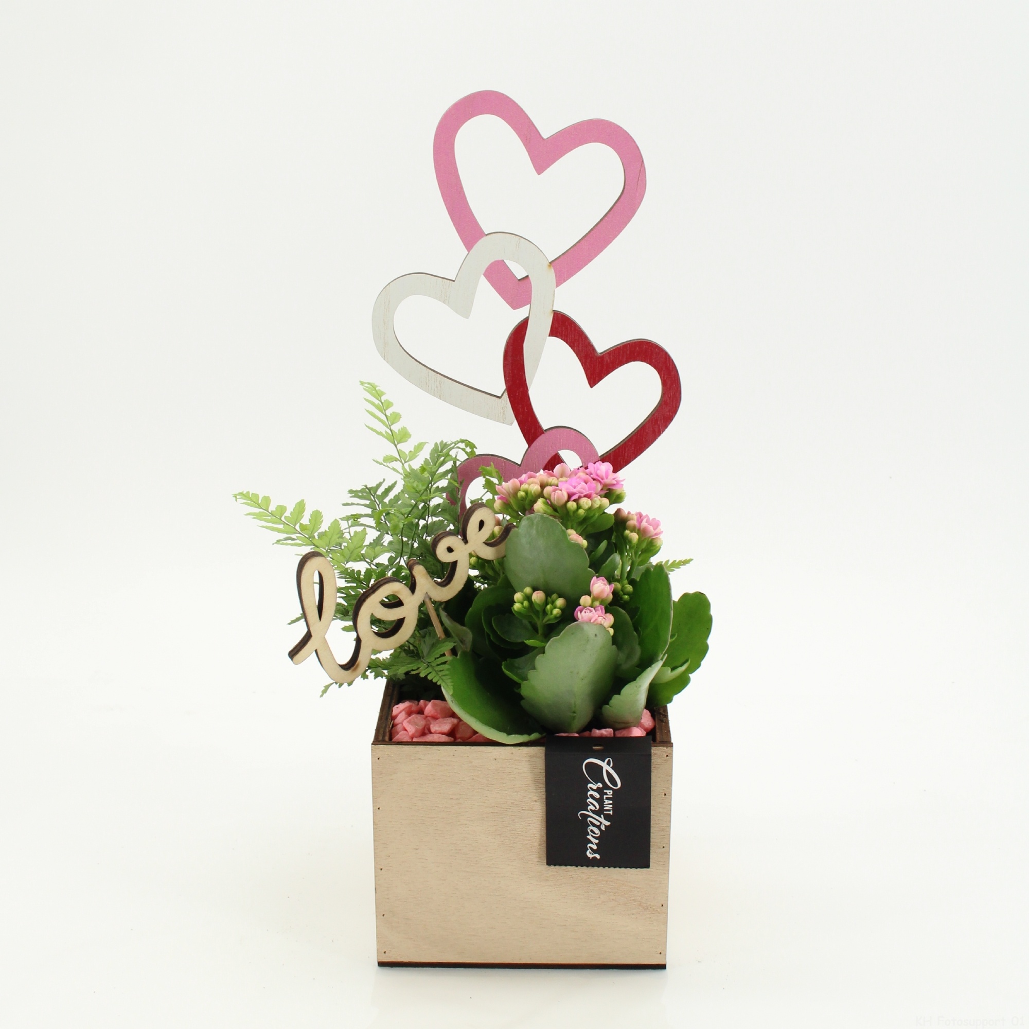 RMCR-2624RZ Romantic Essentials, D 12