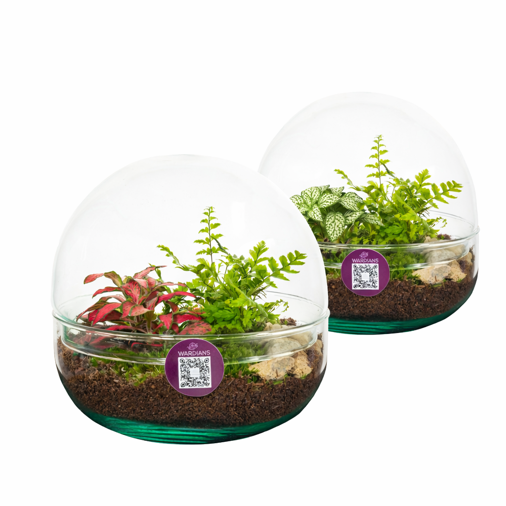 Wardians Terrarium - Earth small, D 14