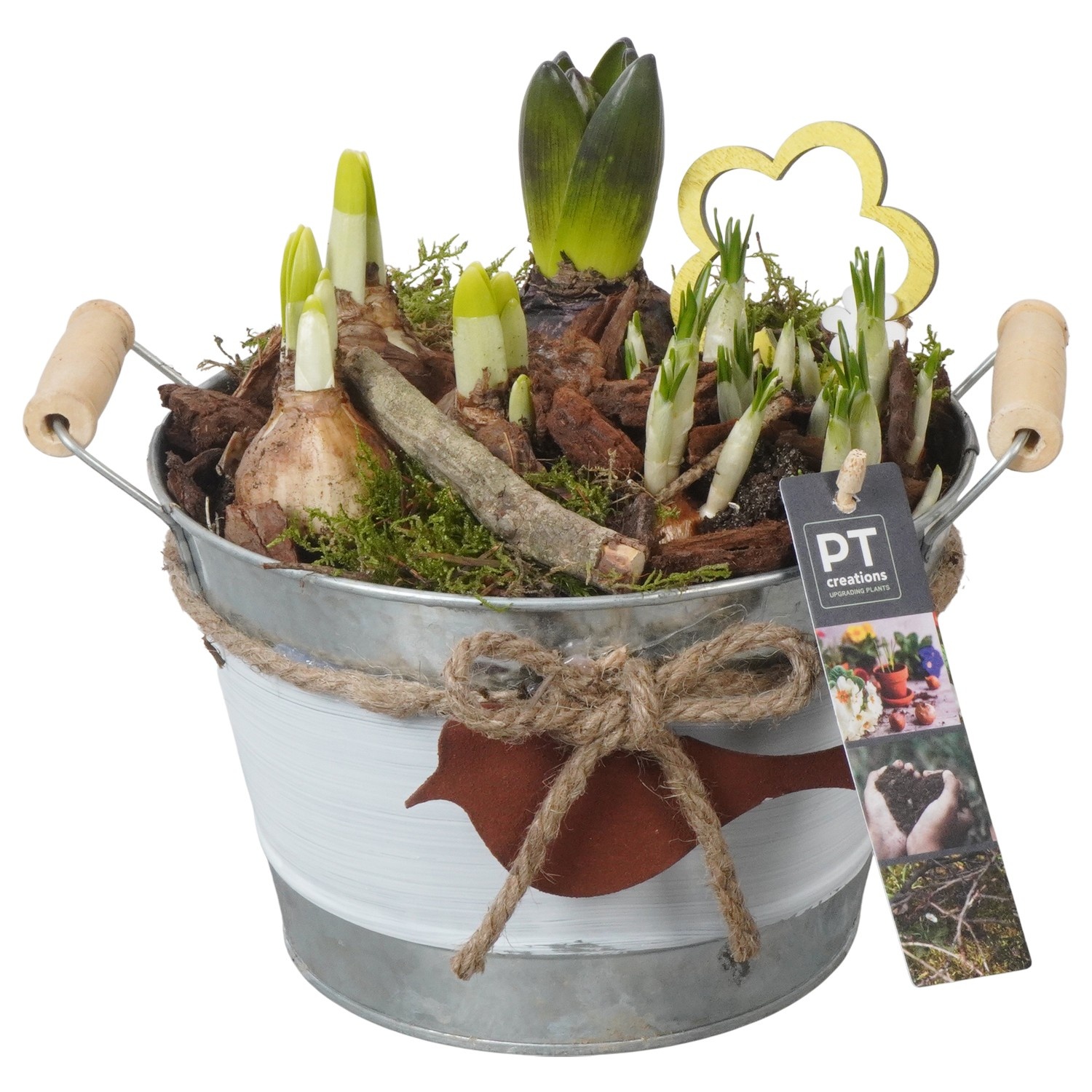 PTBM3793 Arrangement Flower Bulbs Mix in metalen pot, D 18