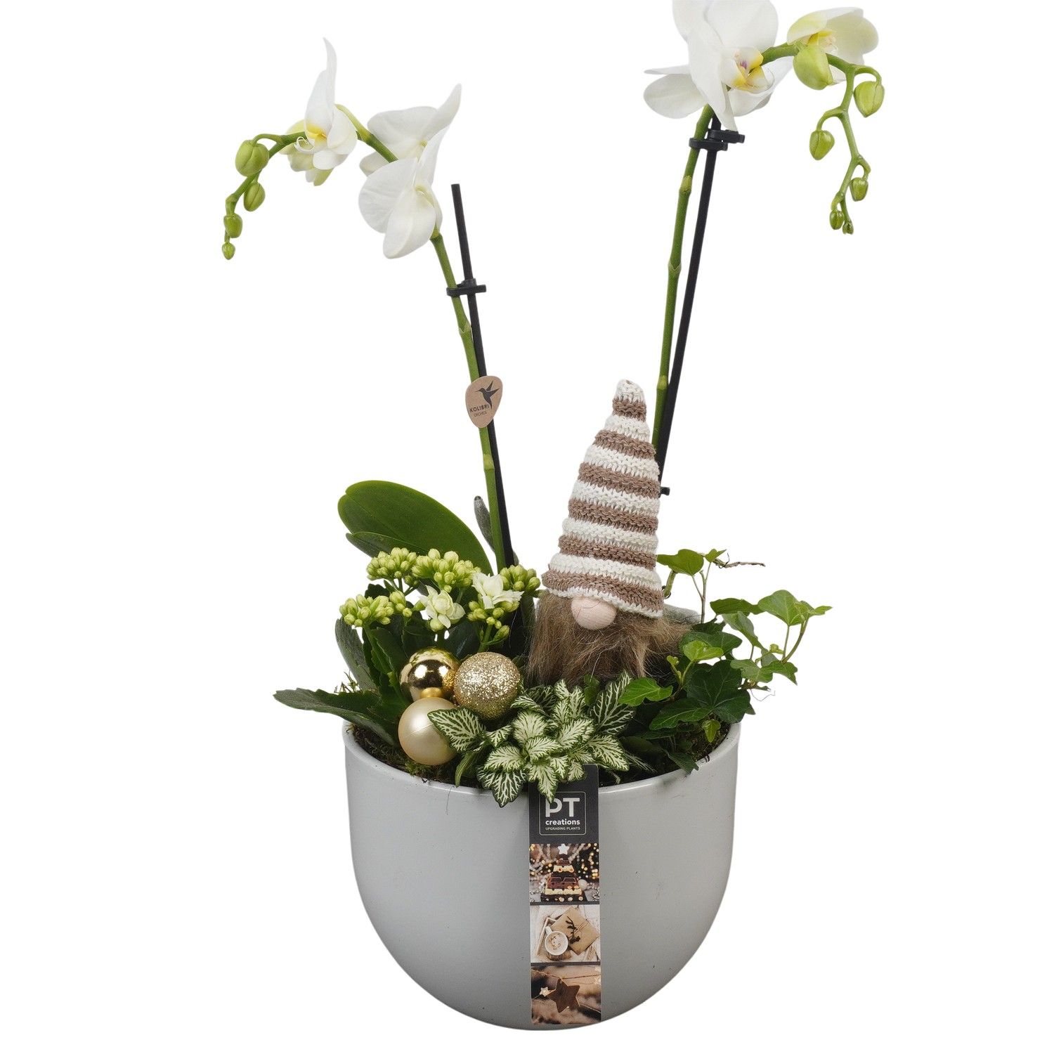 PTCHG5629 Arrangement Christmas Gold in keramiek pot, D 19 cm