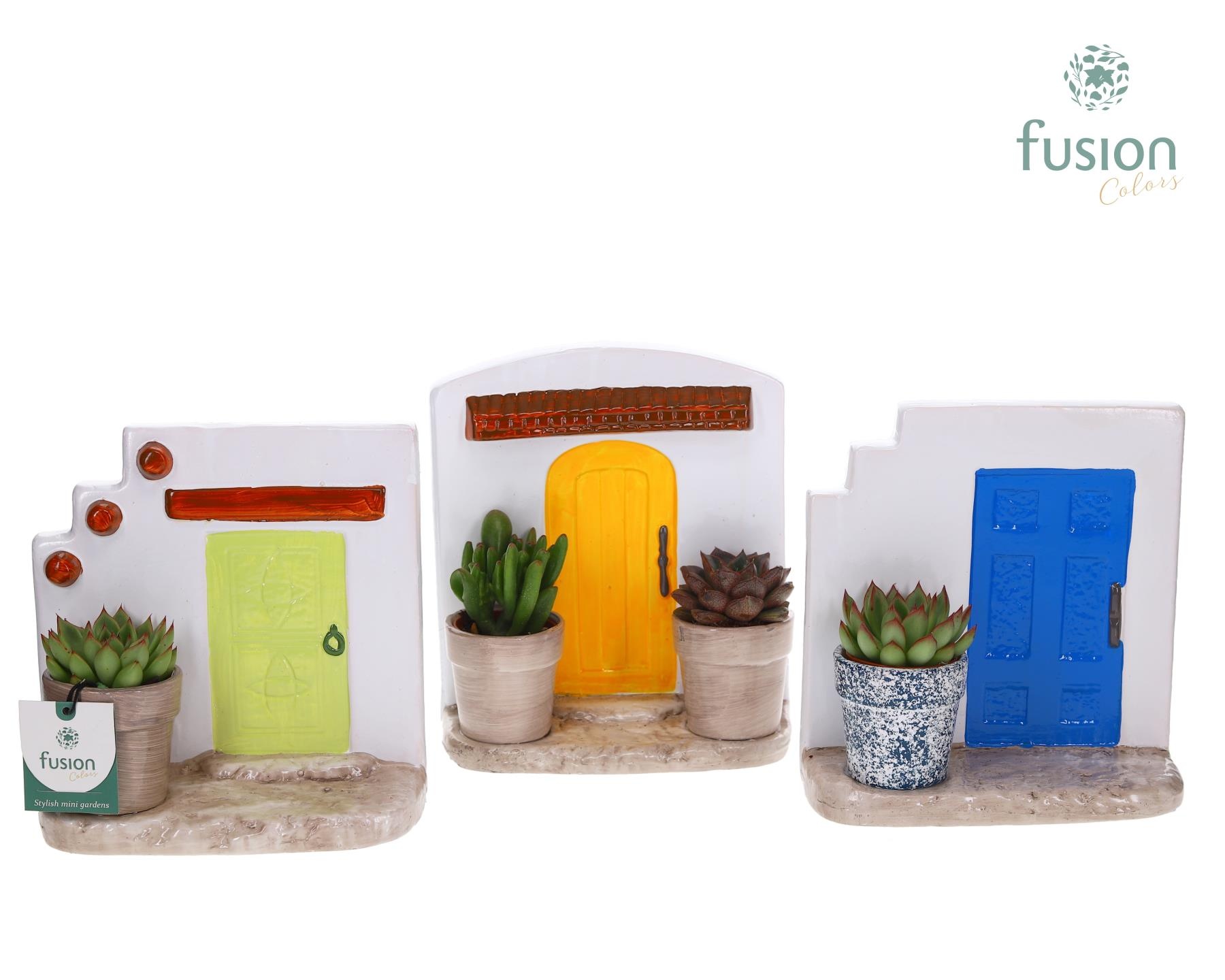 Terracotta Muurplanter met Succulenten, D 20