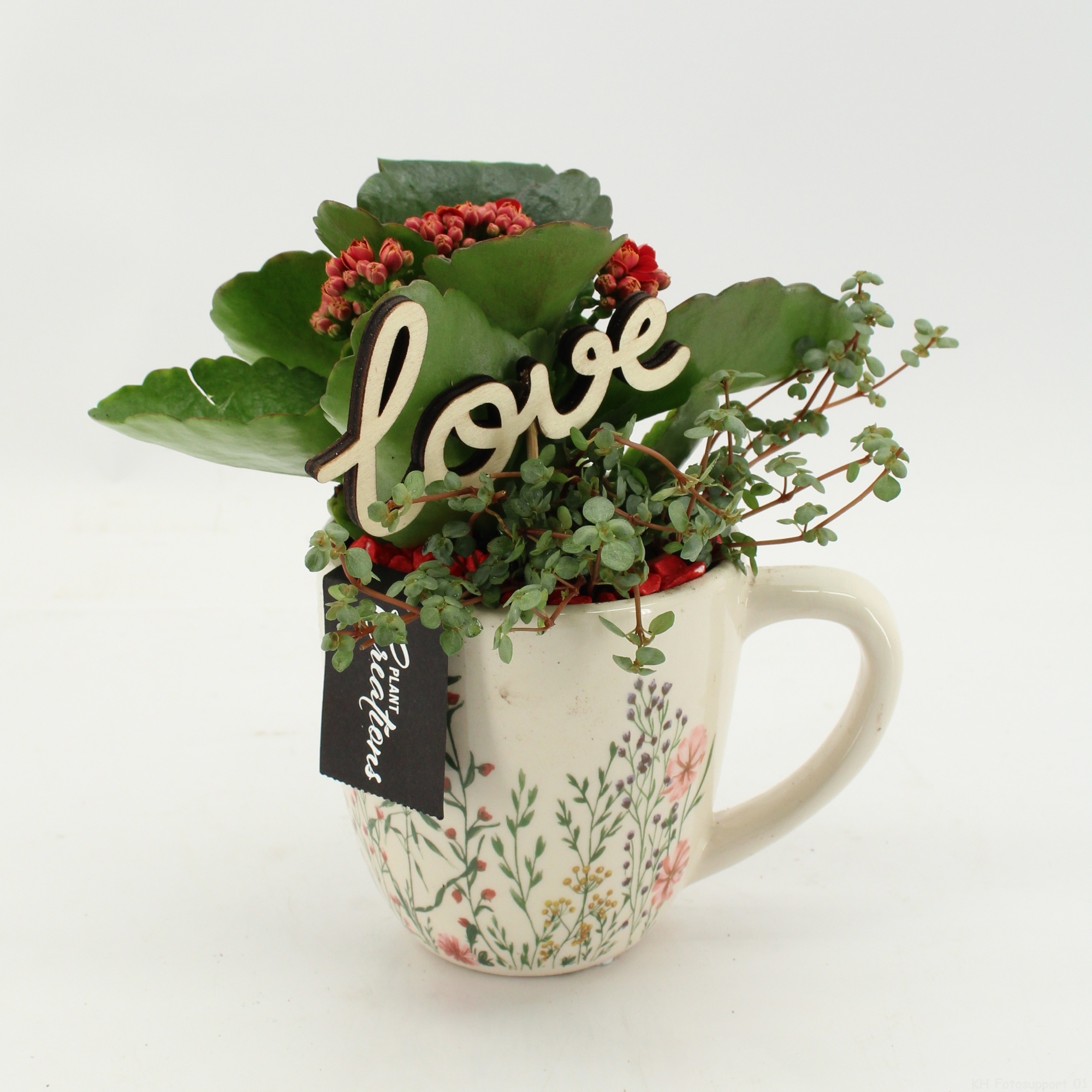 RMCR-2615RA Romantic Essentials, D 11