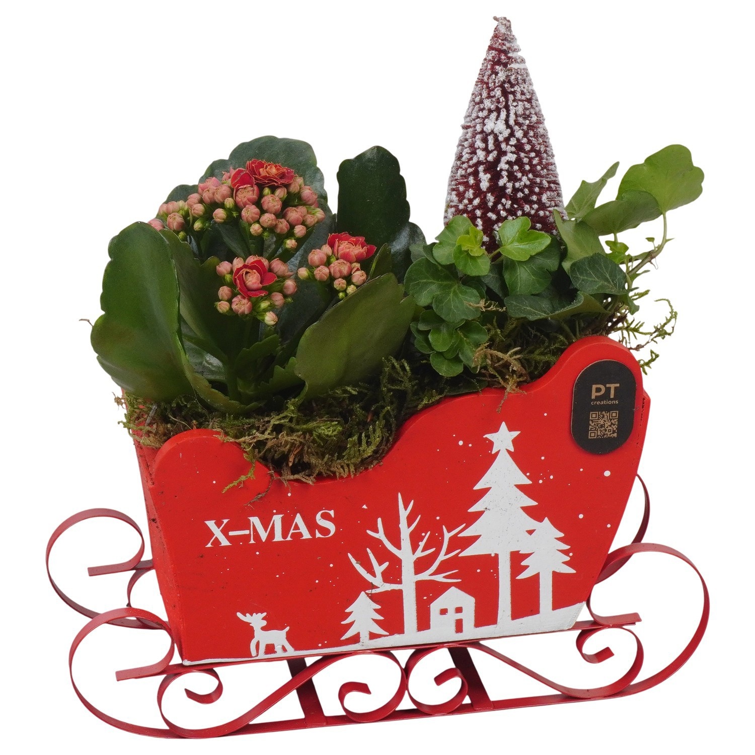 PTCHR9584 Arrangement Christmas Red in houten slee, D 19
