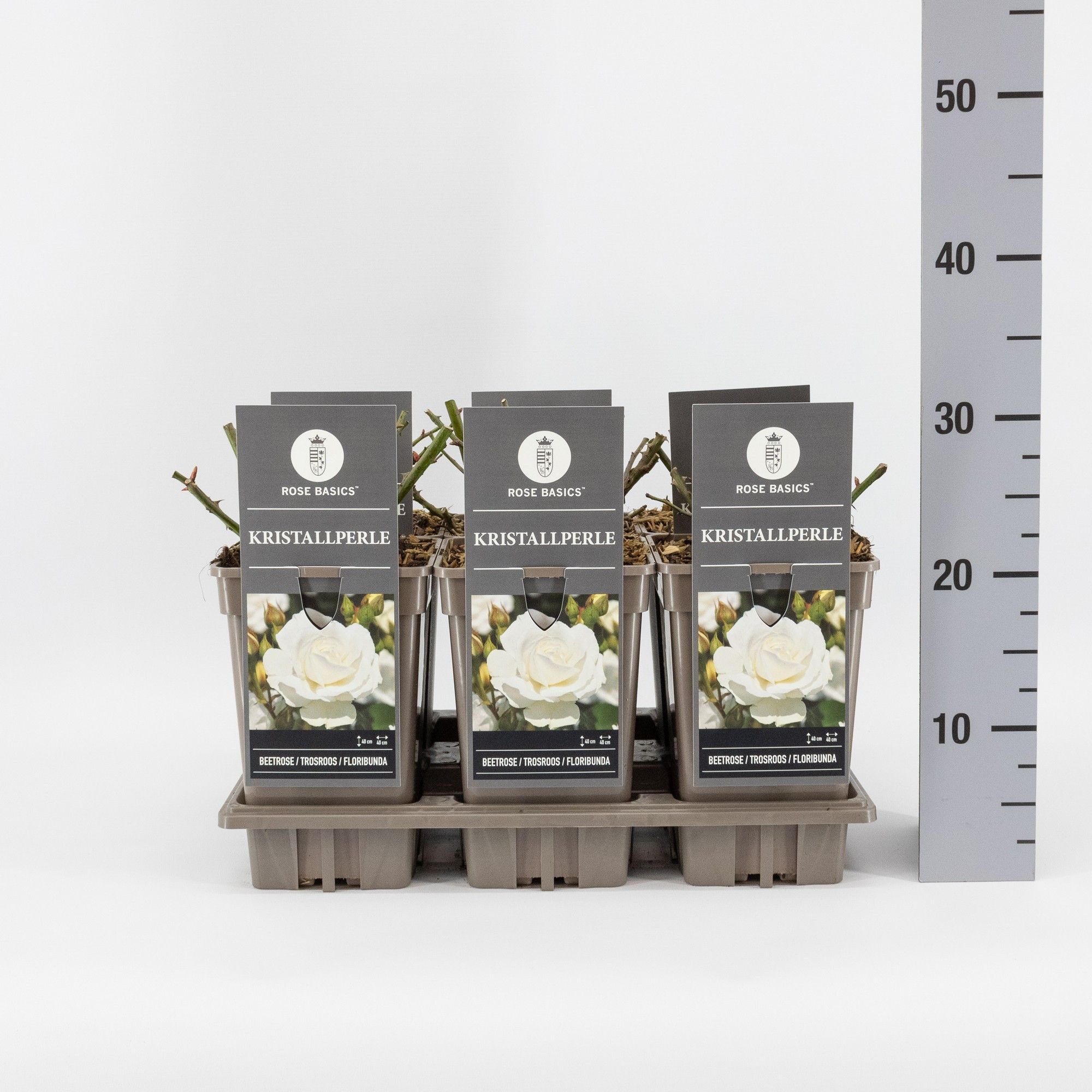 Rosa (F) Kristallperle, C3, D 17 cm