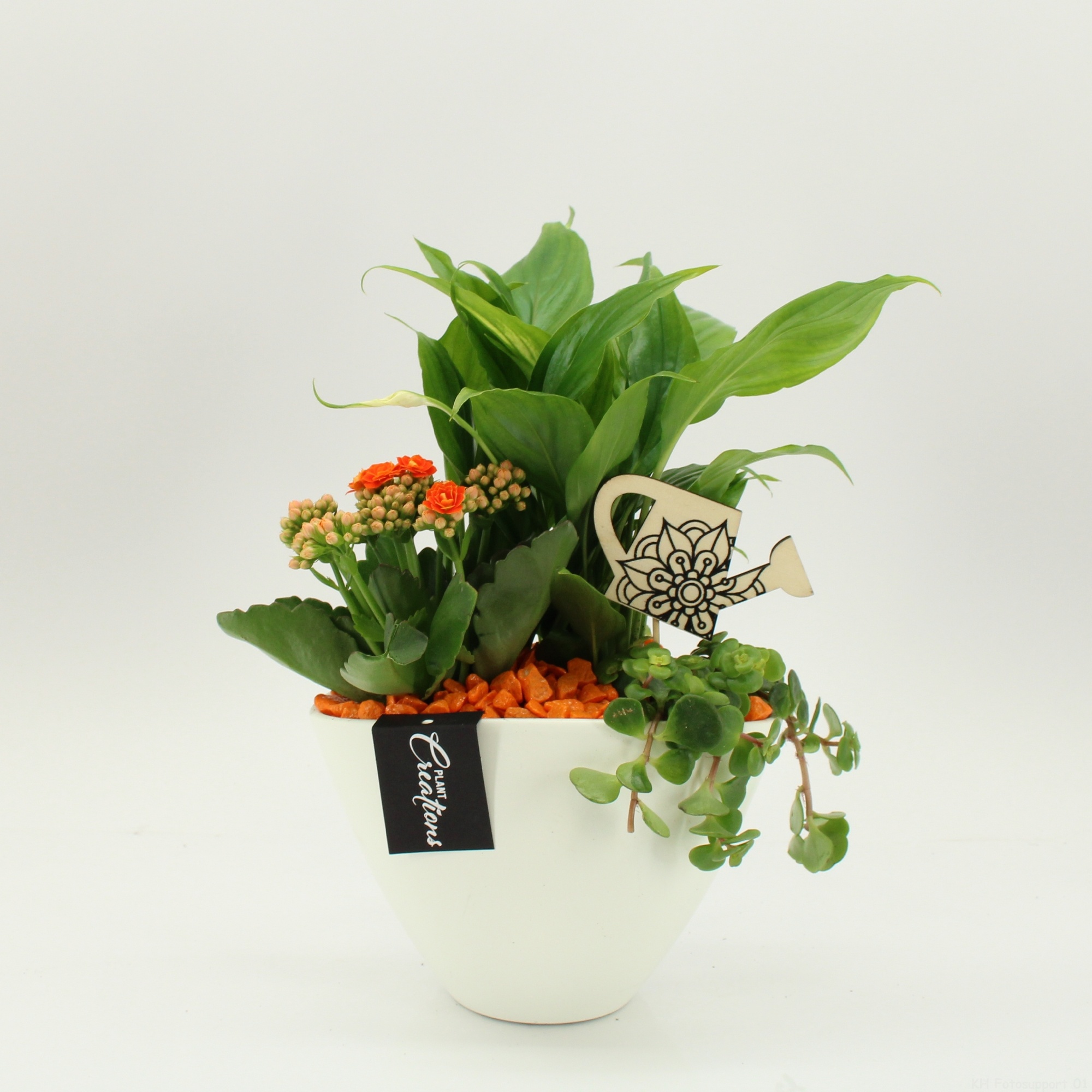 FDCR-2610OR Basic Fundamentals, D 18