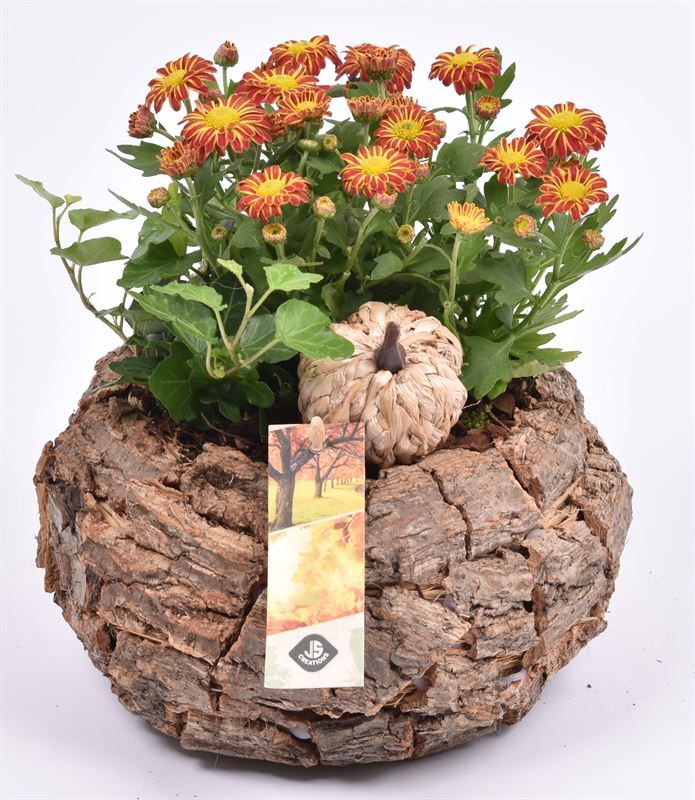 Bomschors rond 13x18cm, D 18 cm Bomschors rond 13x18cm, D 18 cm