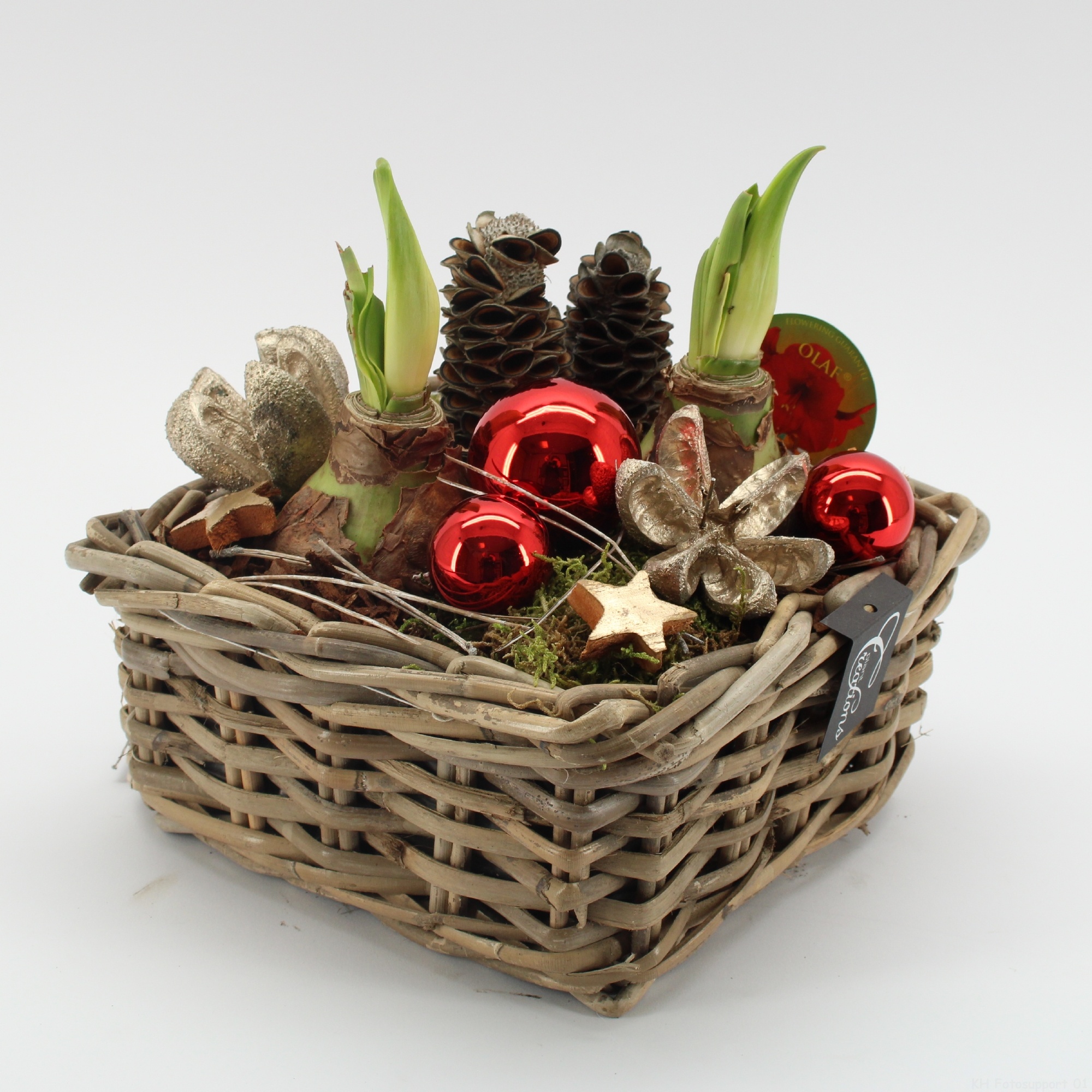 HICR-2526R Kerst Amaryllis, D 23 cm