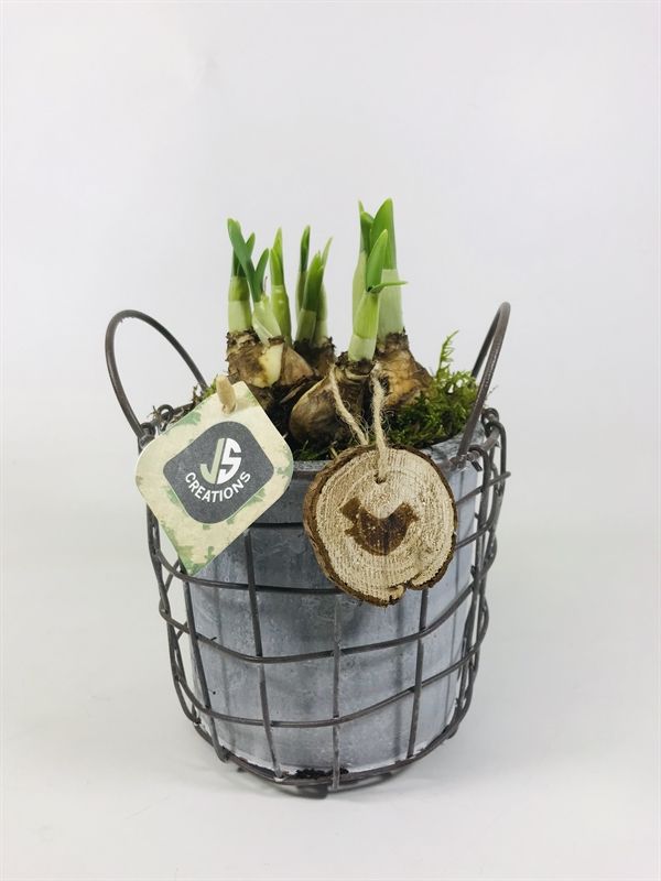 Metaal pot met Cement pot in 14 cm, D 14