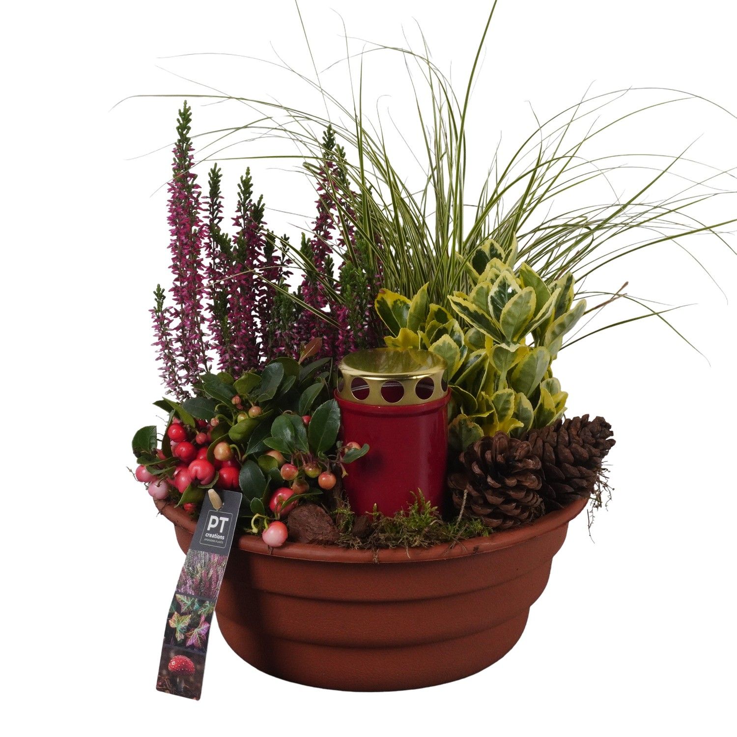 PTAH8688 Arrangement Allerheiligen in plastic schaal, D 25 cm PTAH8688 Arrangement Allerheiligen in plastic schaal, D 25 cm