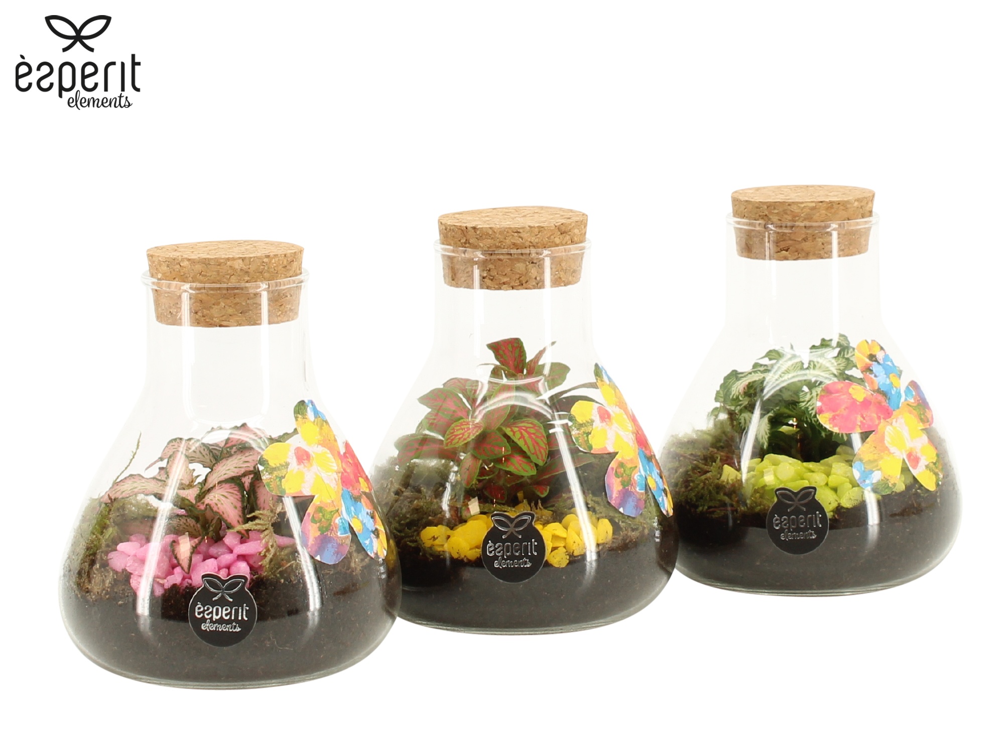 31764: Reinvention terrarium, D 10