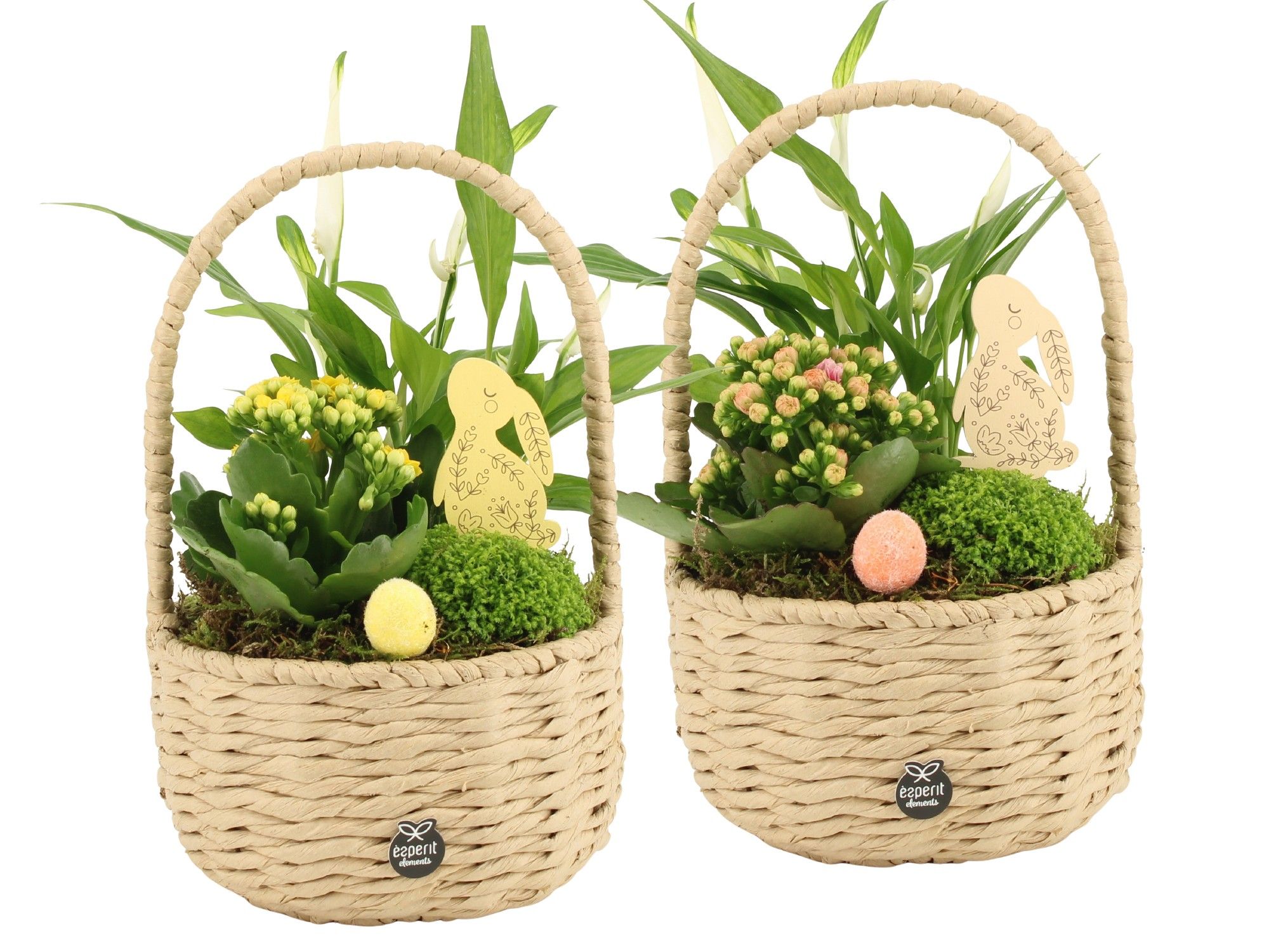 70874: Easter arrangement, D 17