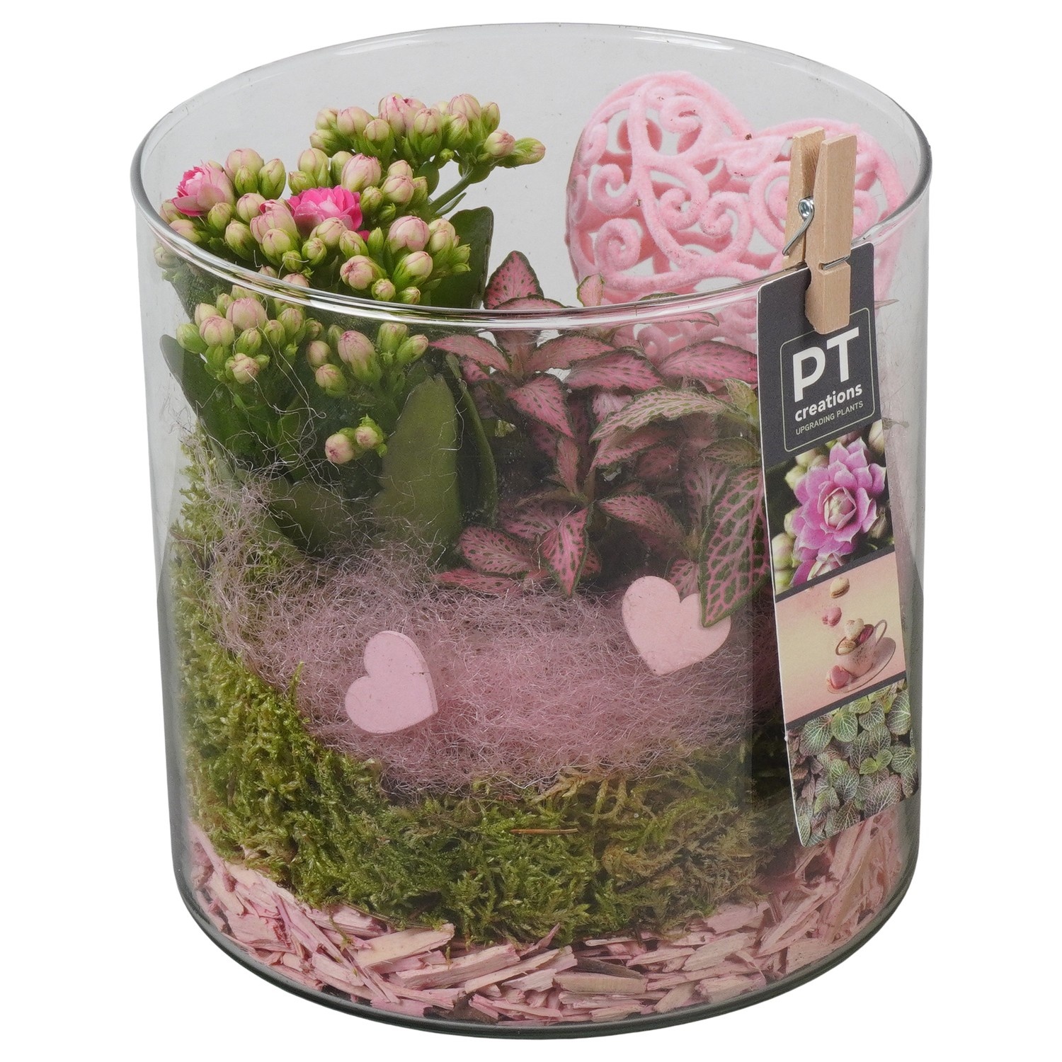 PTVMG4923 Arrangement Valentines-Mothersday in glas vaas, D 15