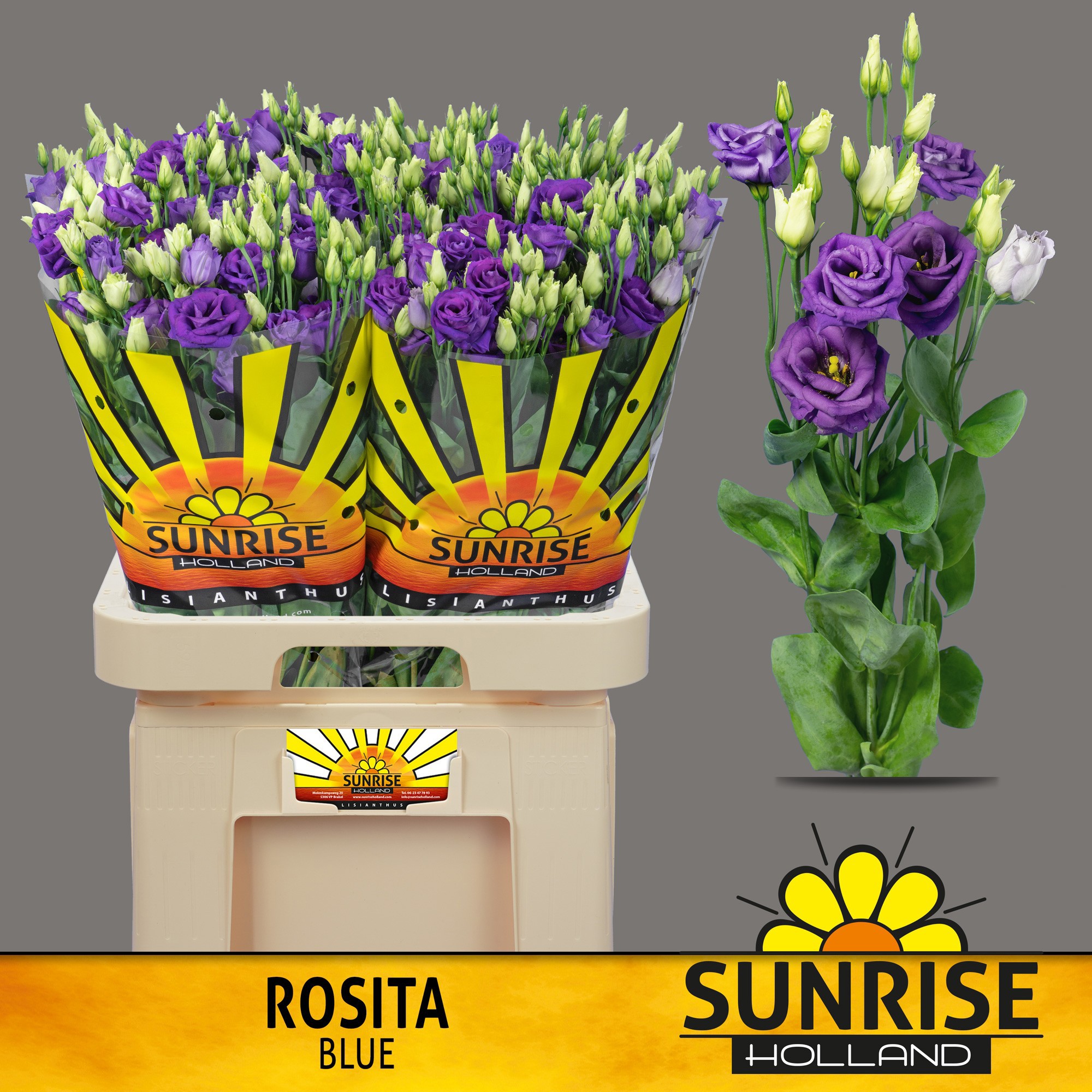 Эустома Розита Блю 70 (син.), шт.