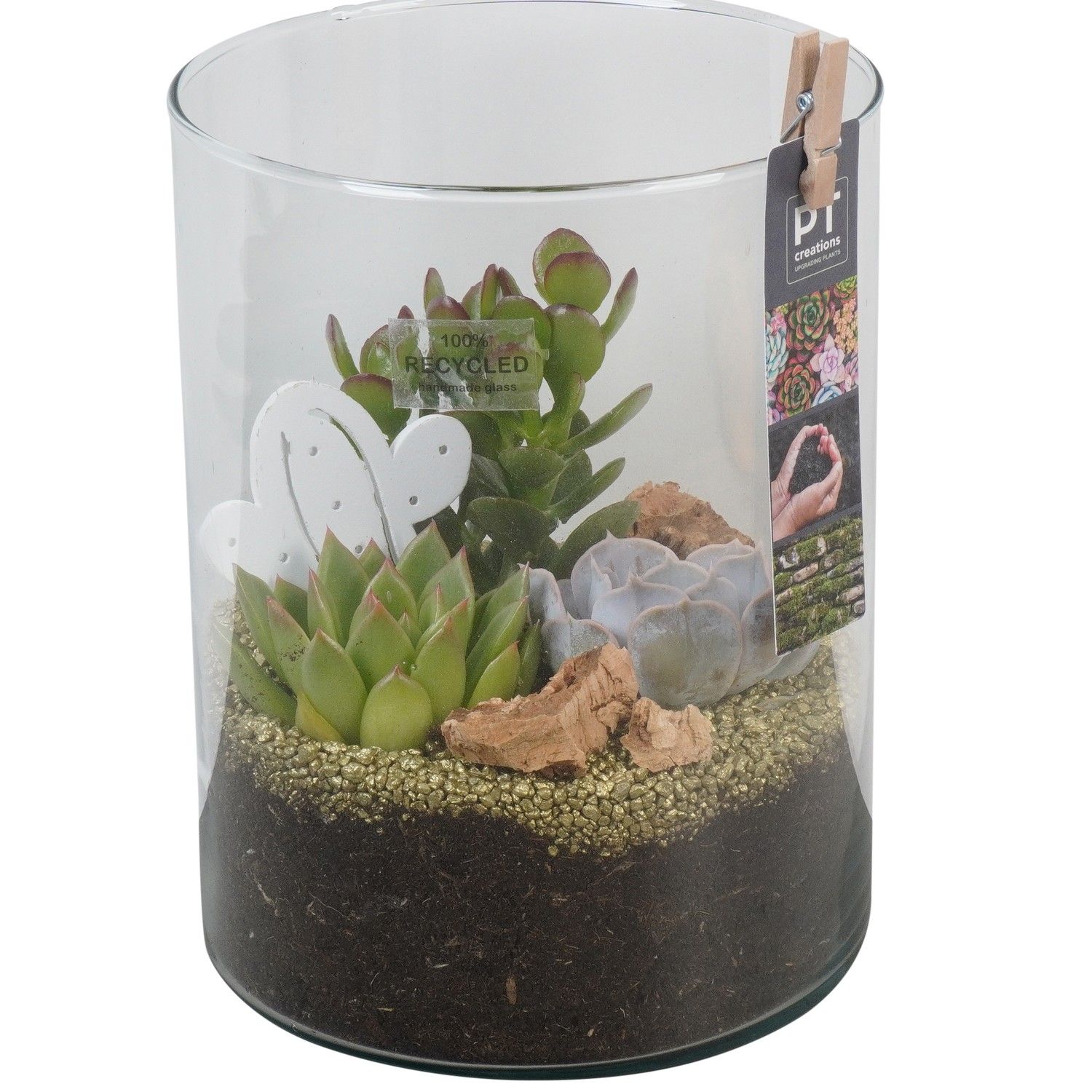 PTSU8418 Arrangement Succulenten in glazen vaas, D 15