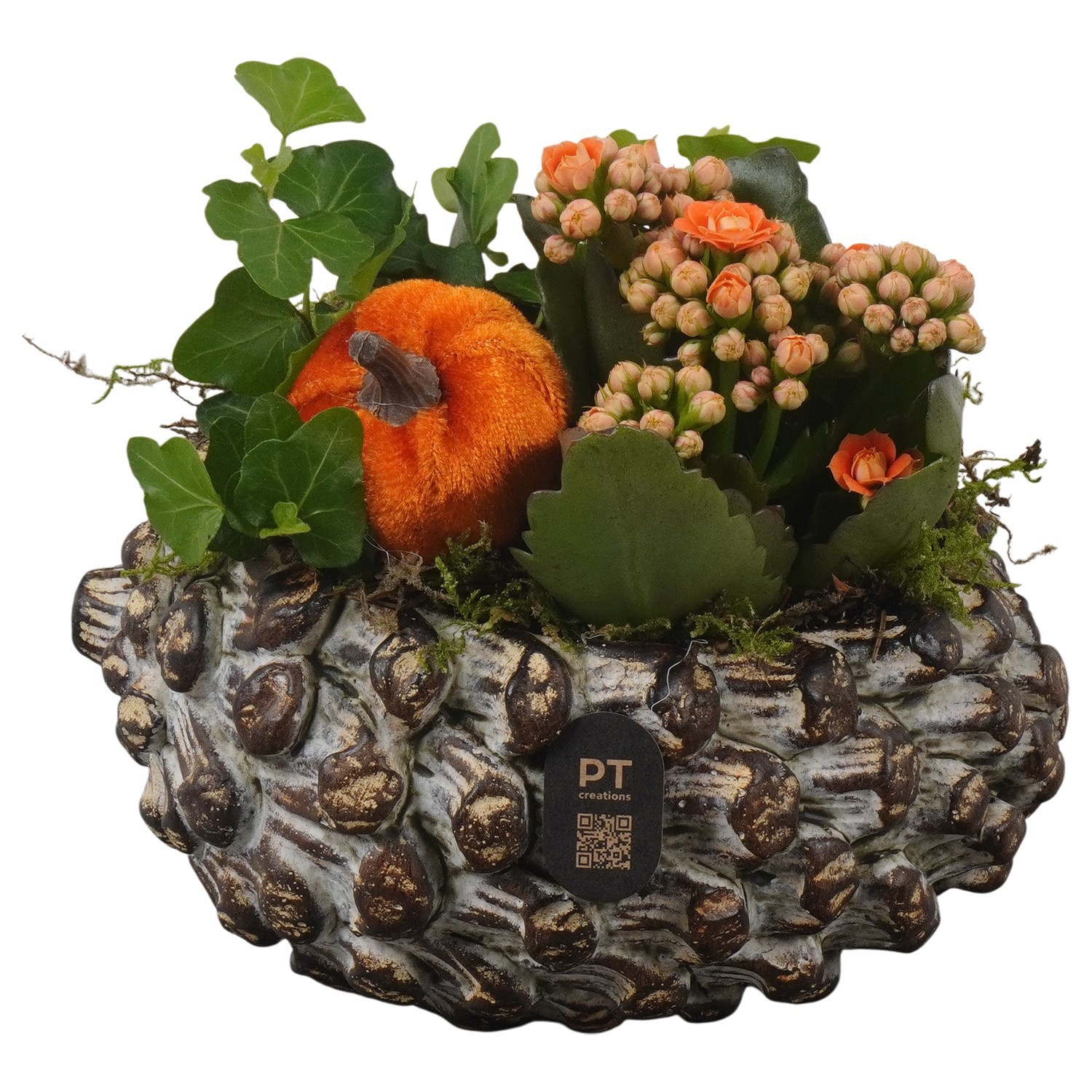 PTHI3274 Arrangement Autumn Indoor in beton pot in noot vorm, D 16